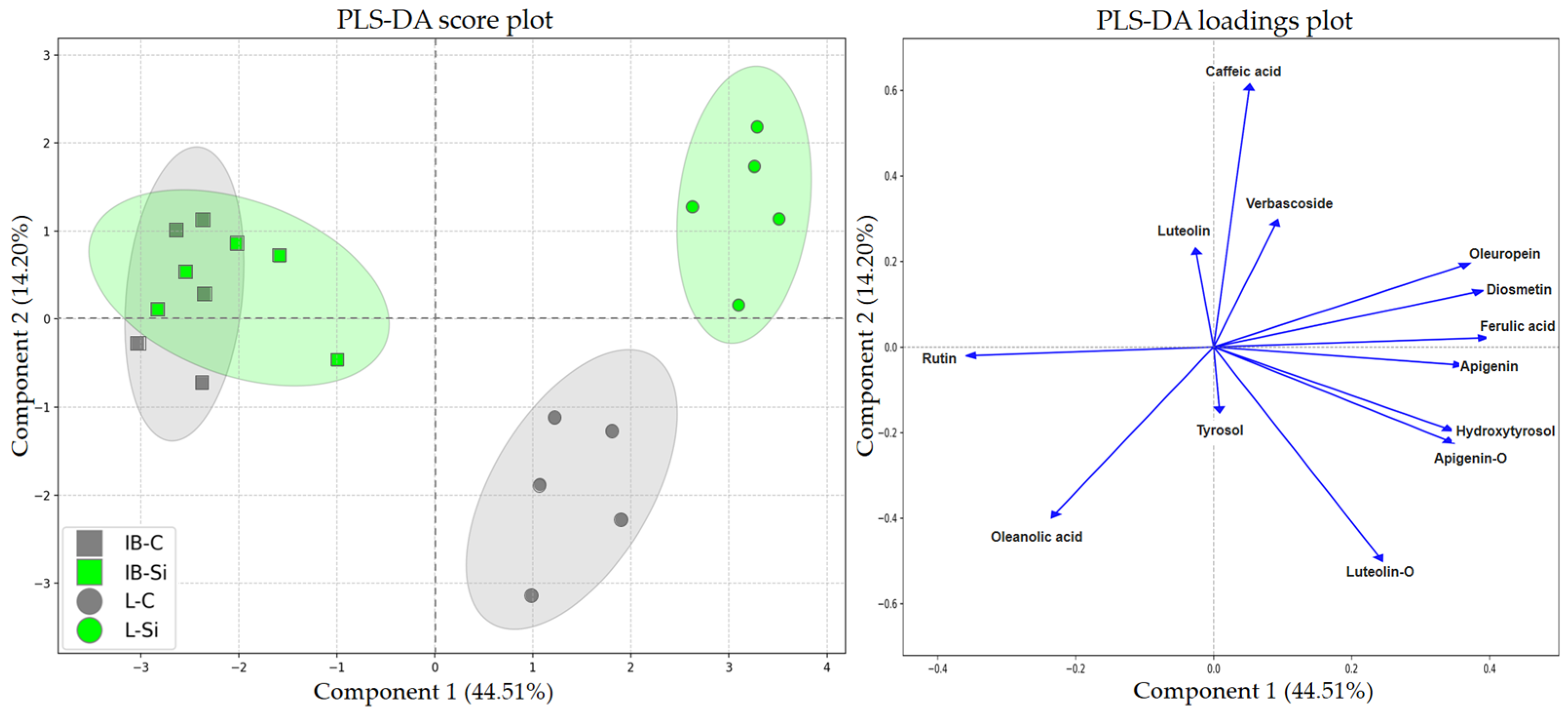 Plants 14 01282 g007