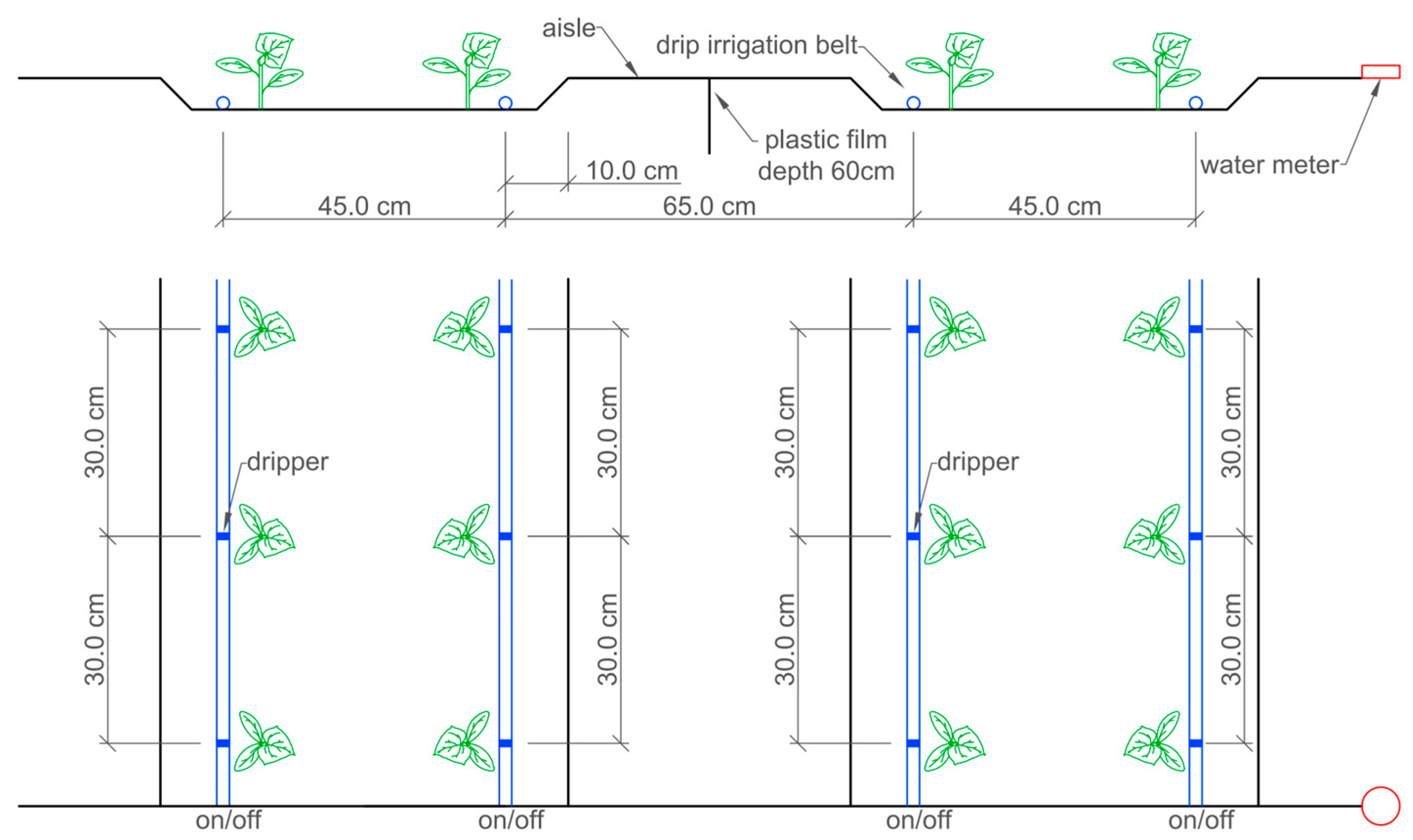Plants 14 01285 g007