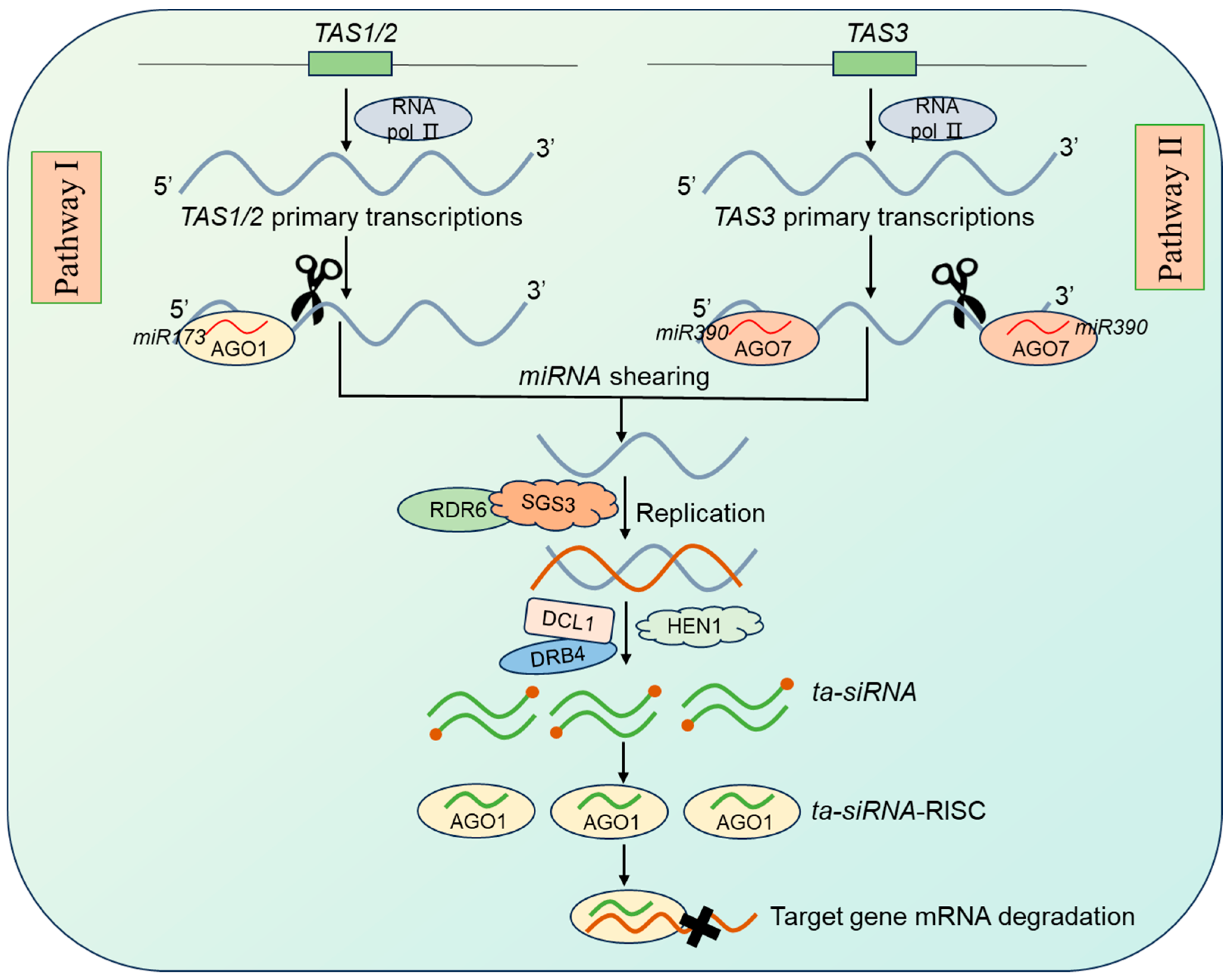 Plants 14 01286 g002