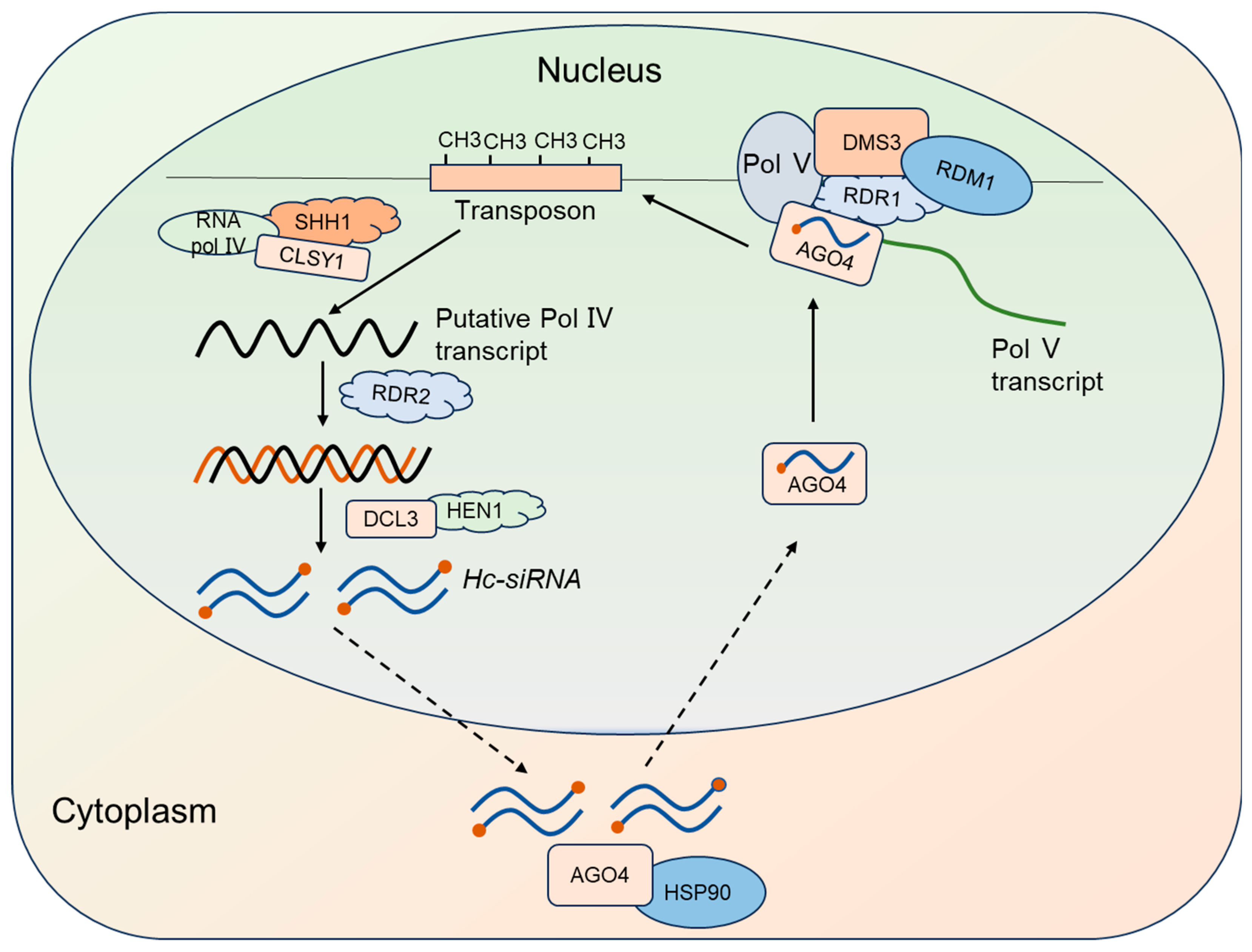 Plants 14 01286 g003