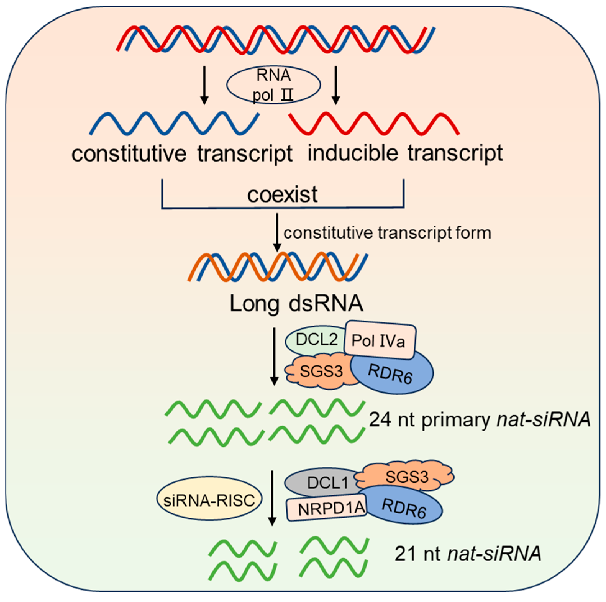 Plants 14 01286 g004