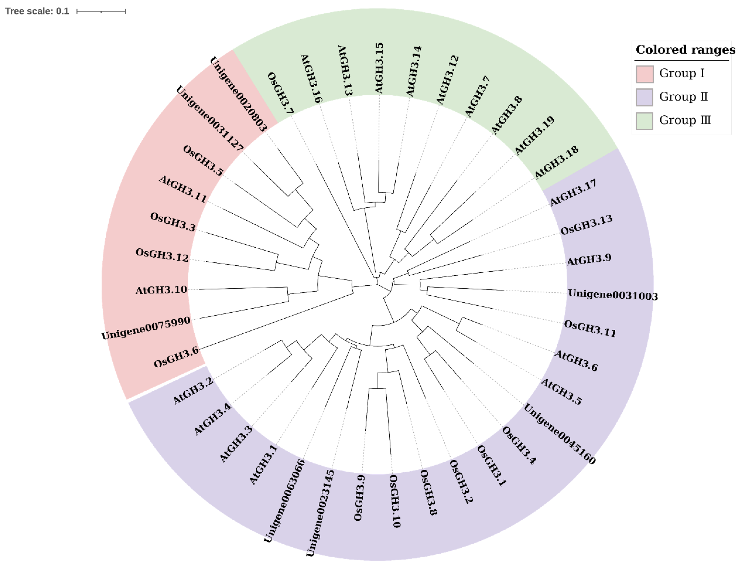 Plants 14 01287 g001