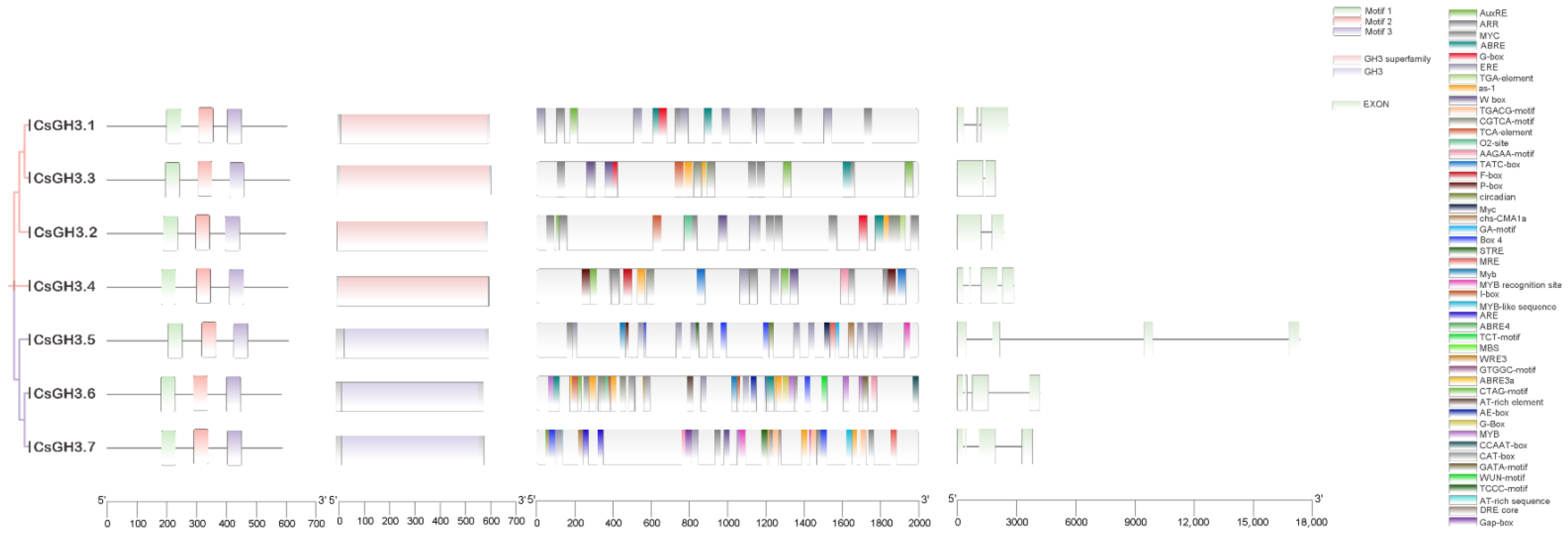 Plants 14 01287 g002