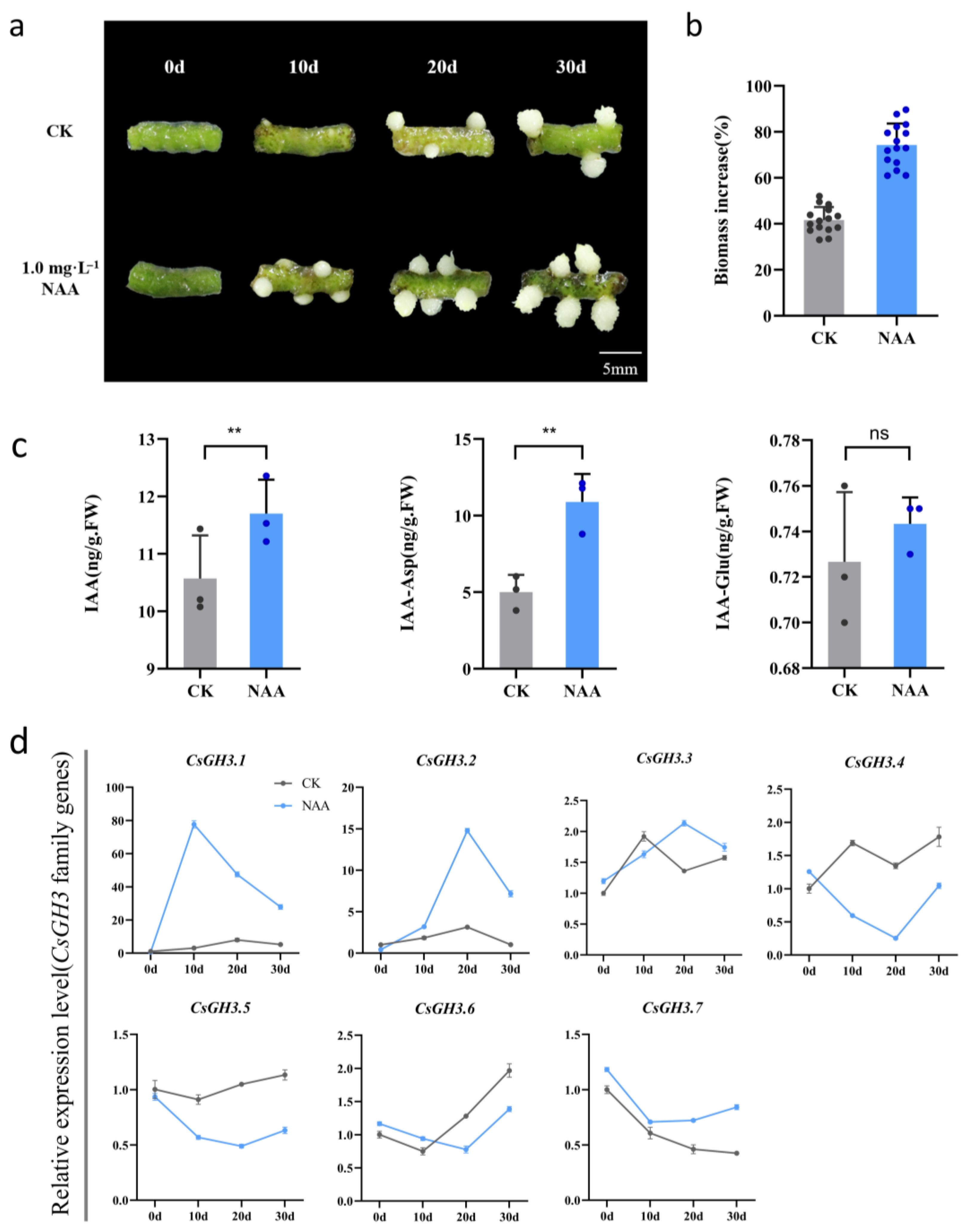 Plants 14 01287 g003