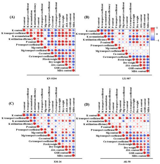 Effects of Arbuscular Mycorrhizal Fungi on the Growth and