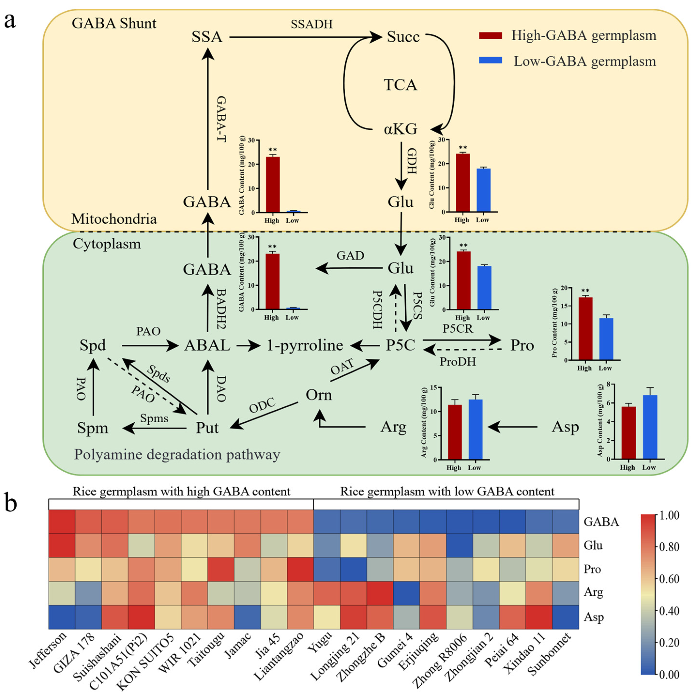 Plants 14 01290 g005