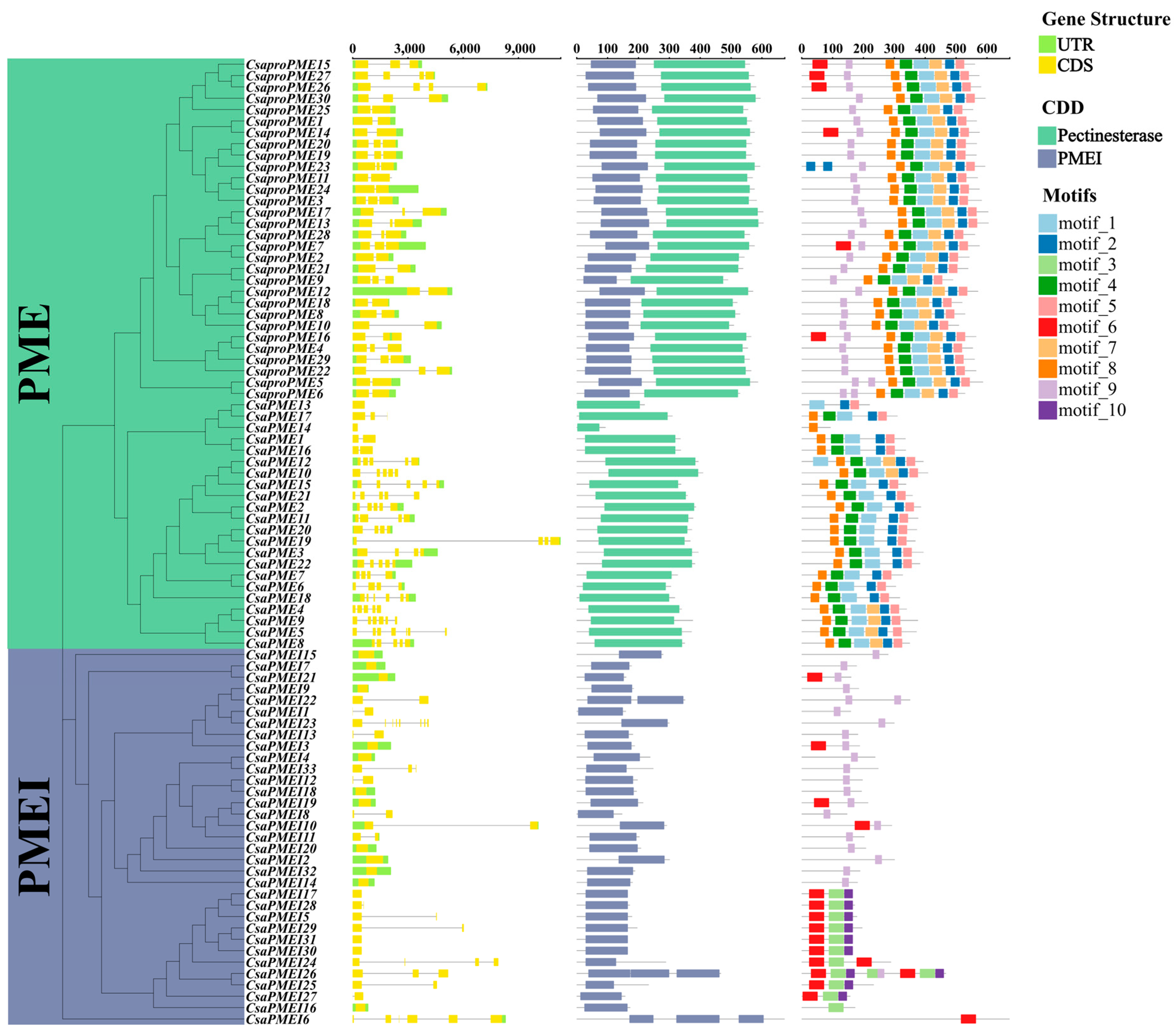 Plants 14 01294 g003