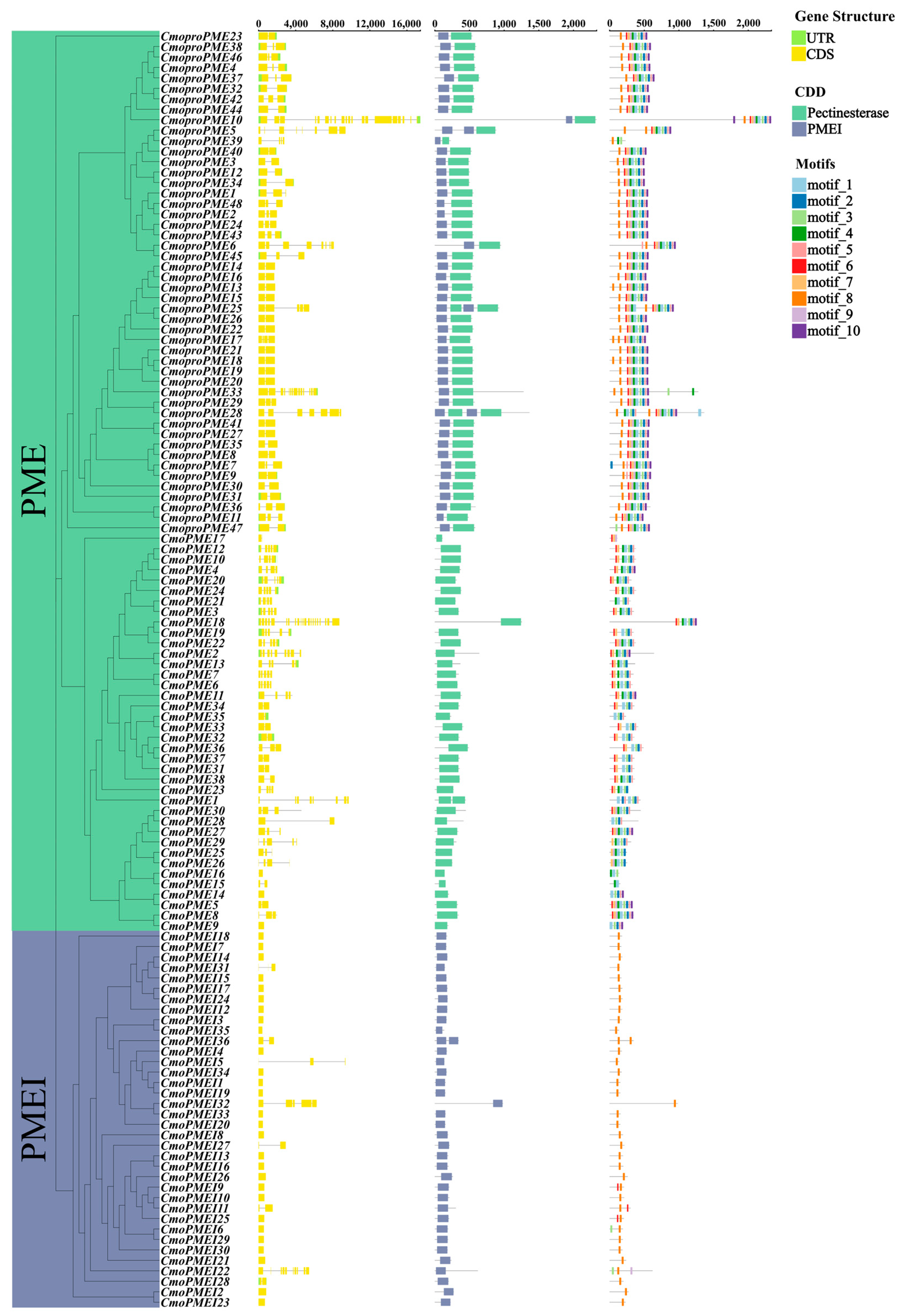 Plants 14 01294 g004
