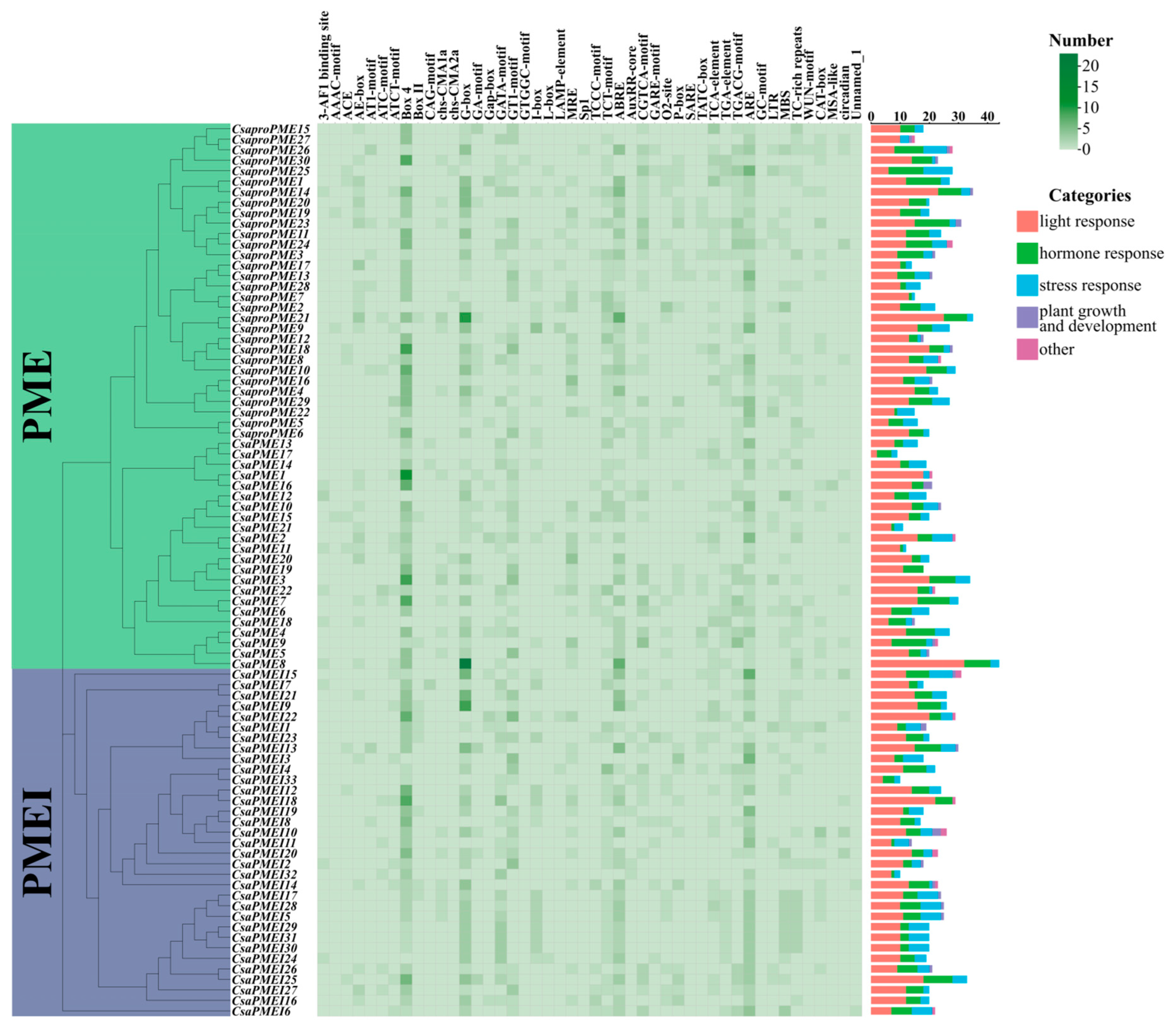 Plants 14 01294 g005