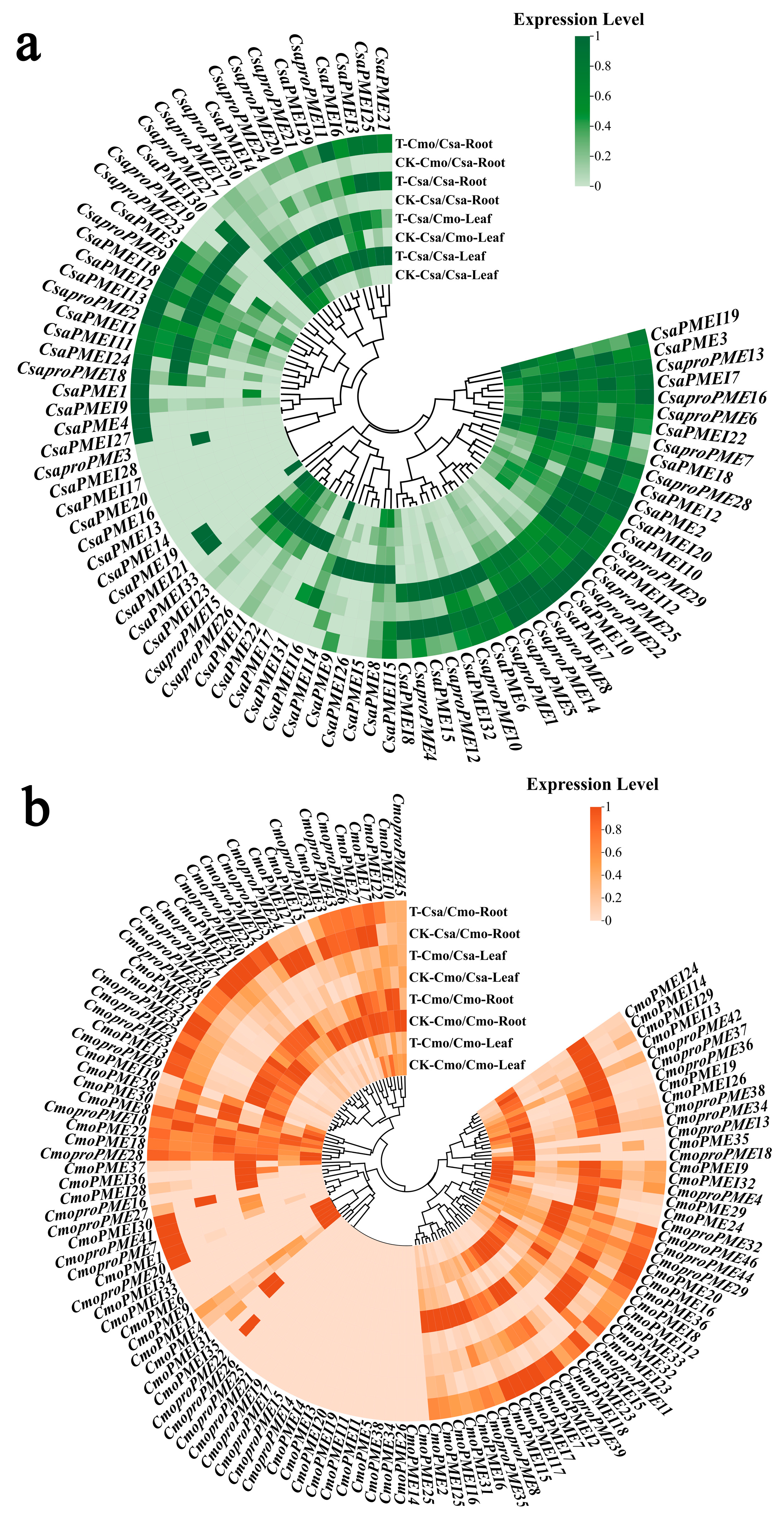 Plants 14 01294 g013