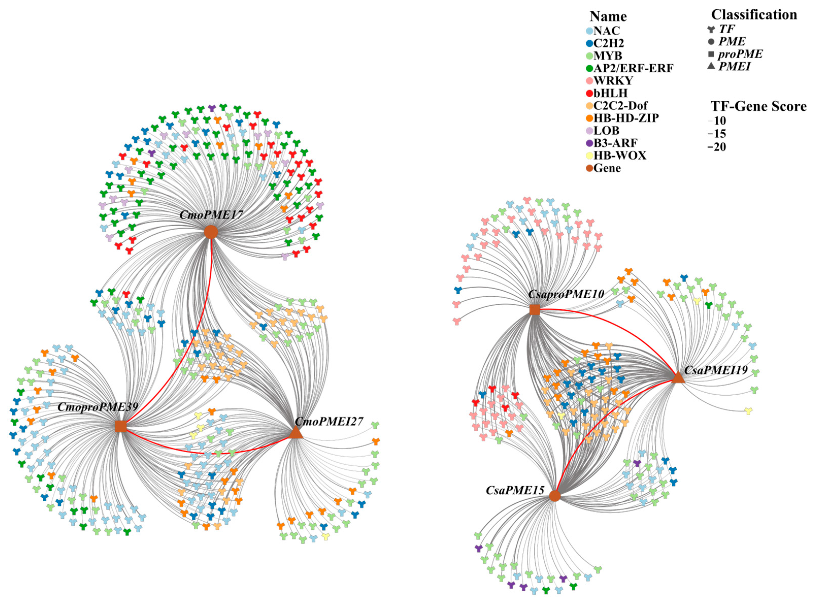 Plants 14 01294 g016