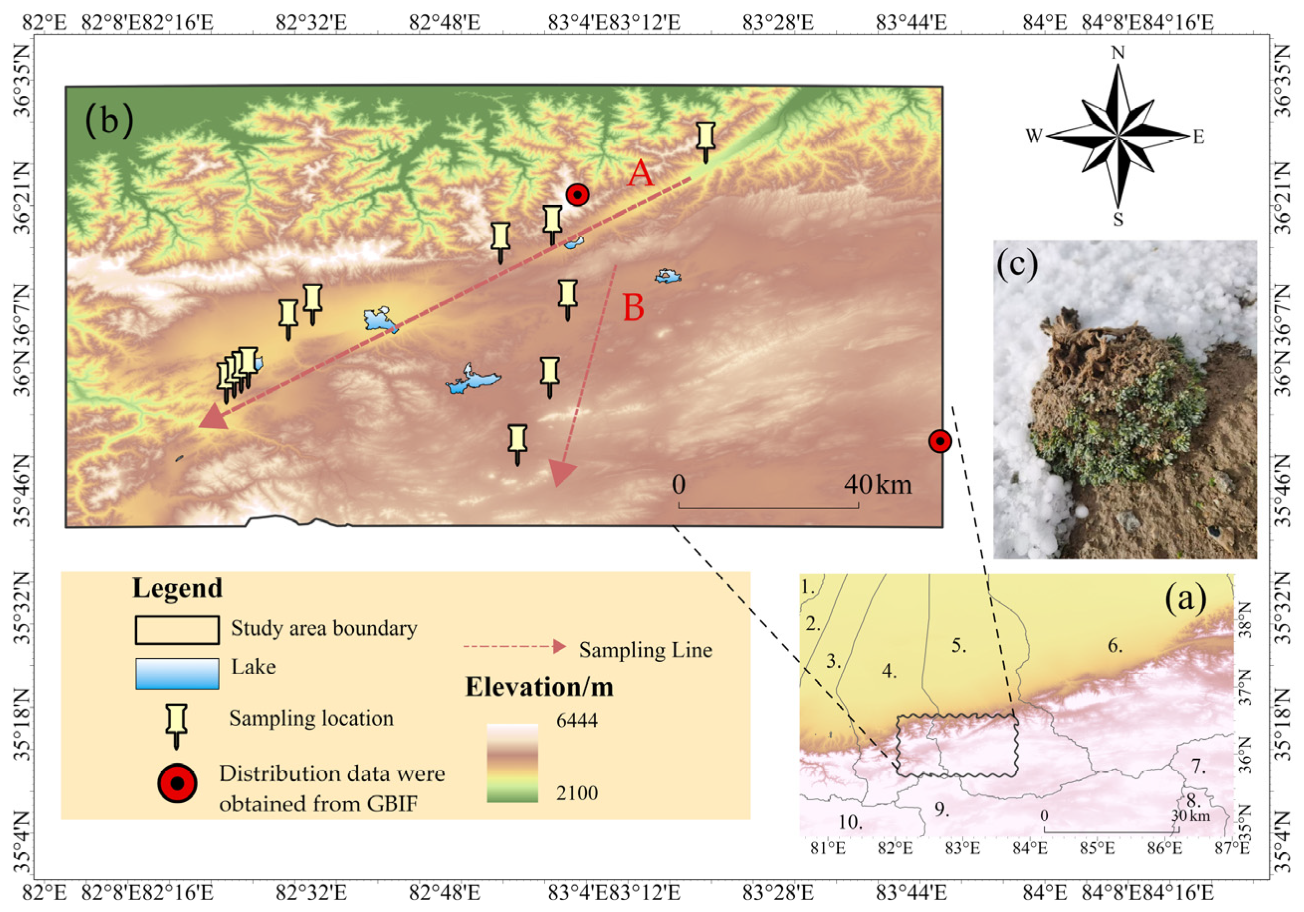 Plants 14 01298 g010
