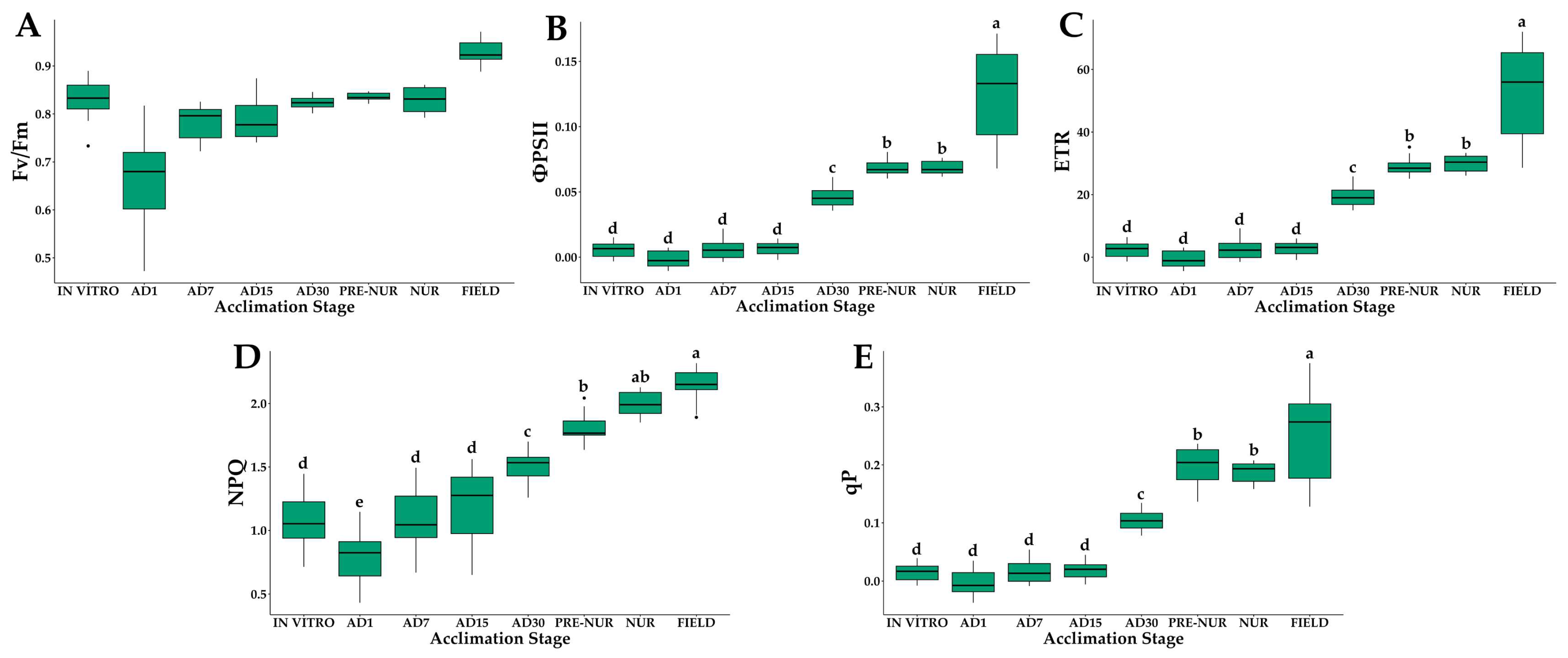 Plants 14 01299 g004