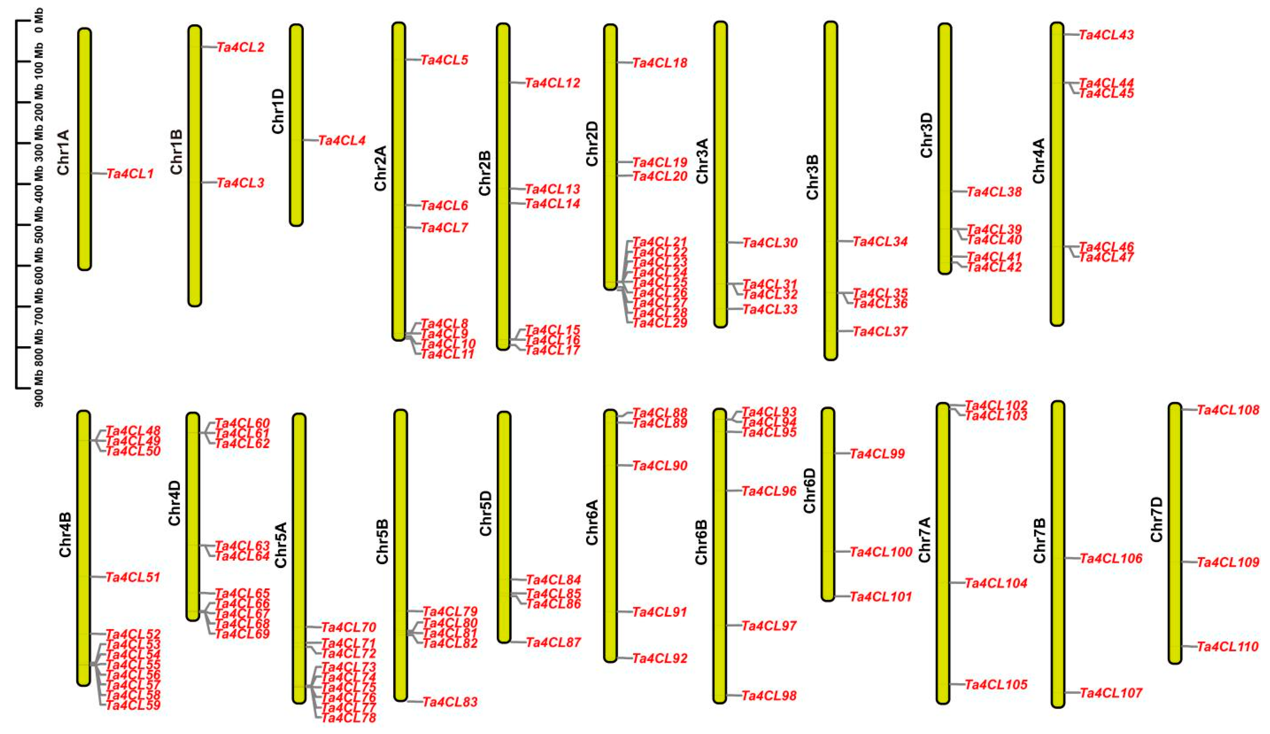Plants 14 01301 g002