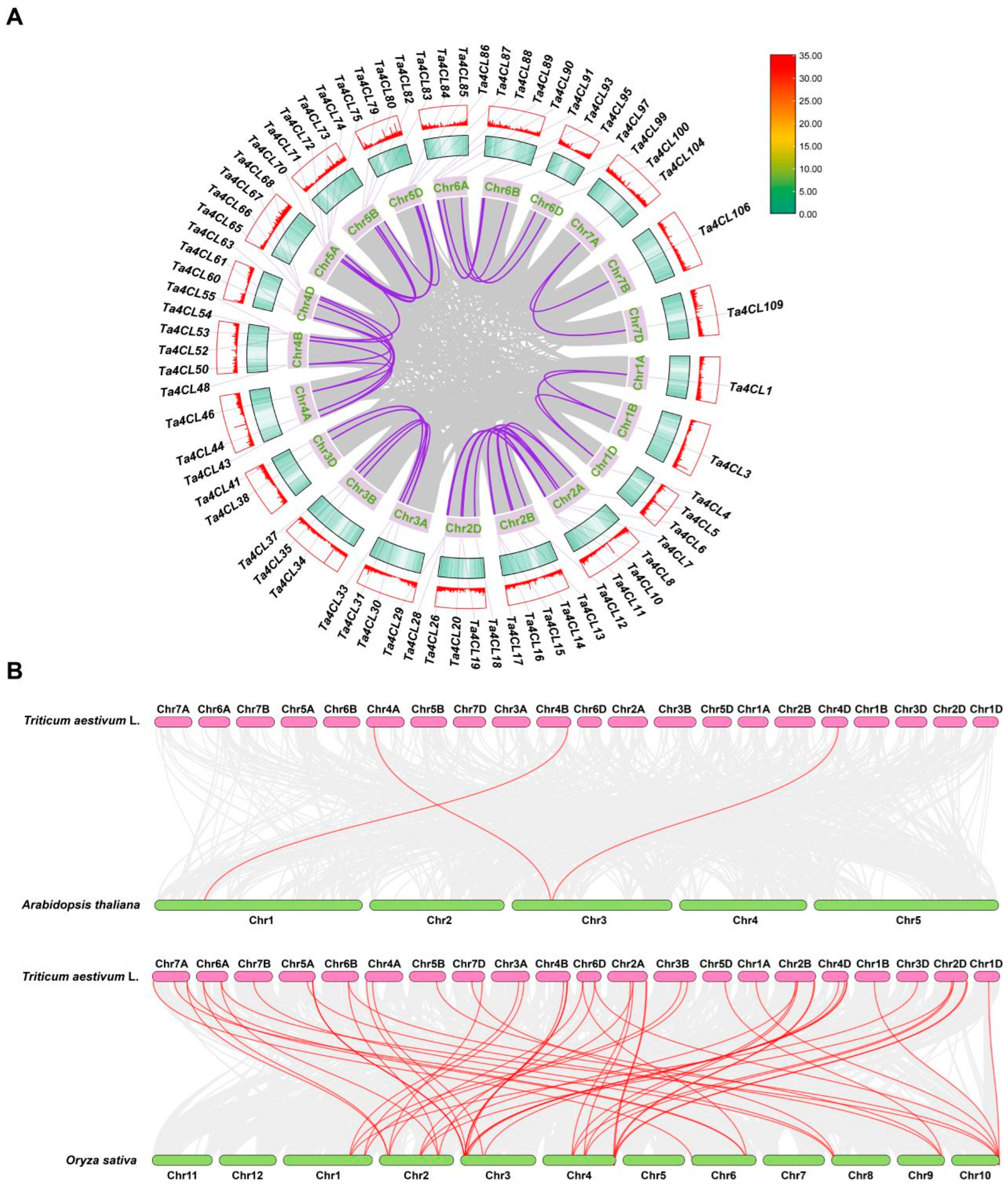 Plants 14 01301 g003
