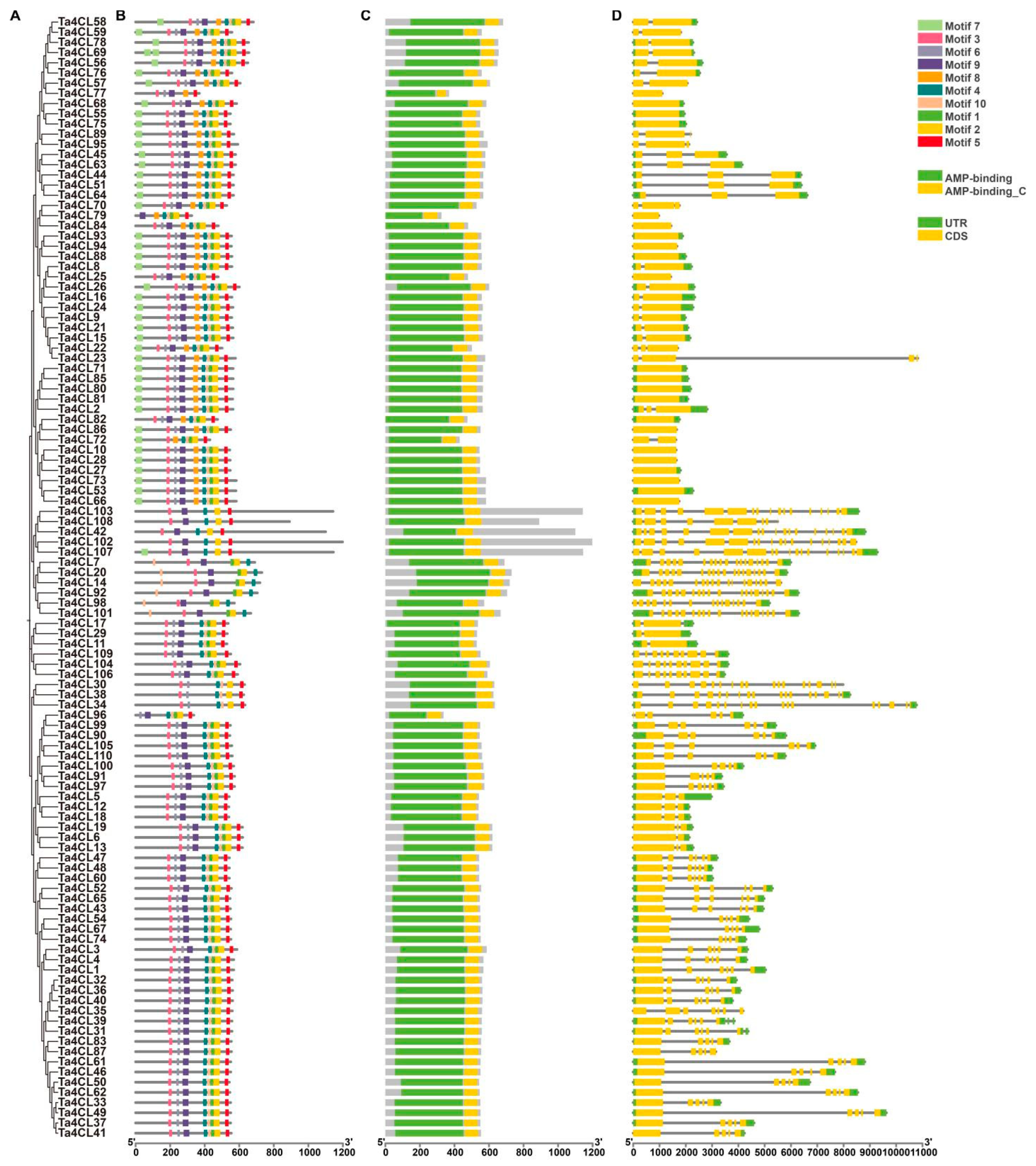 Plants 14 01301 g004
