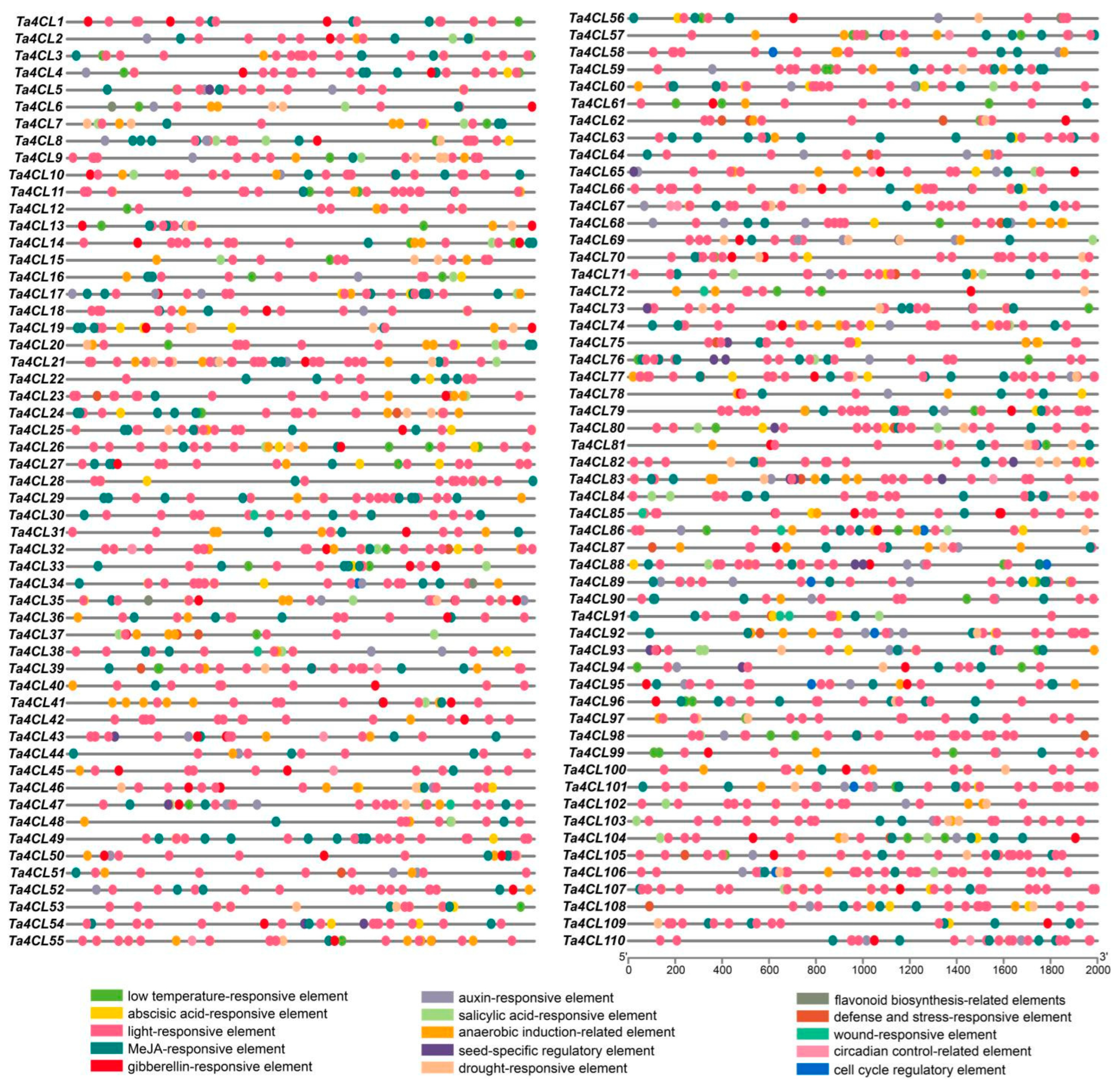 Plants 14 01301 g005