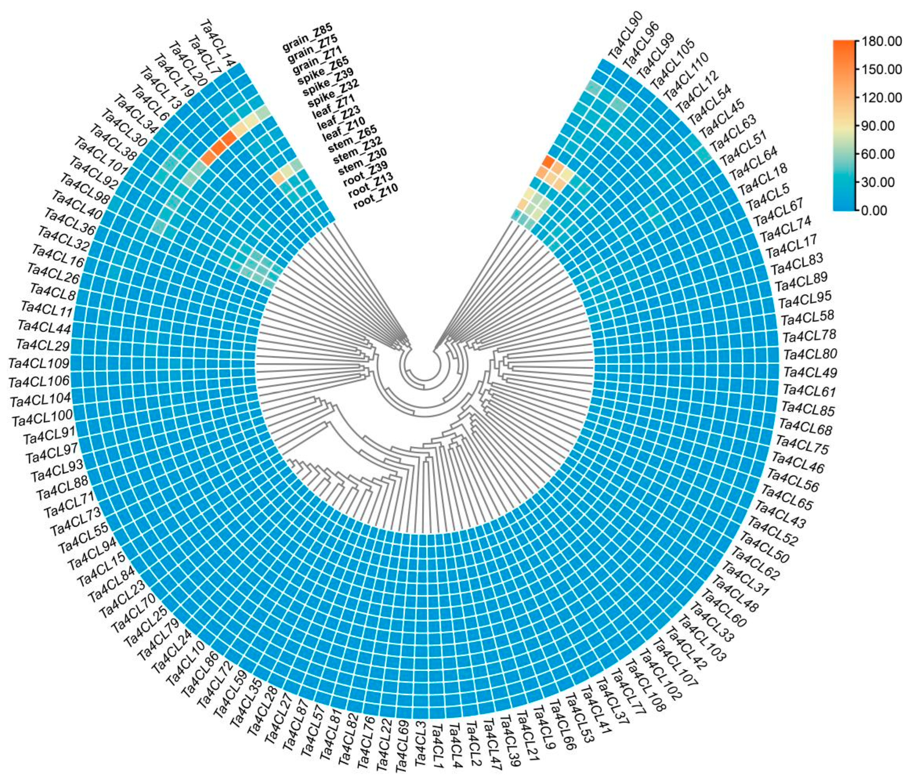 Plants 14 01301 g006