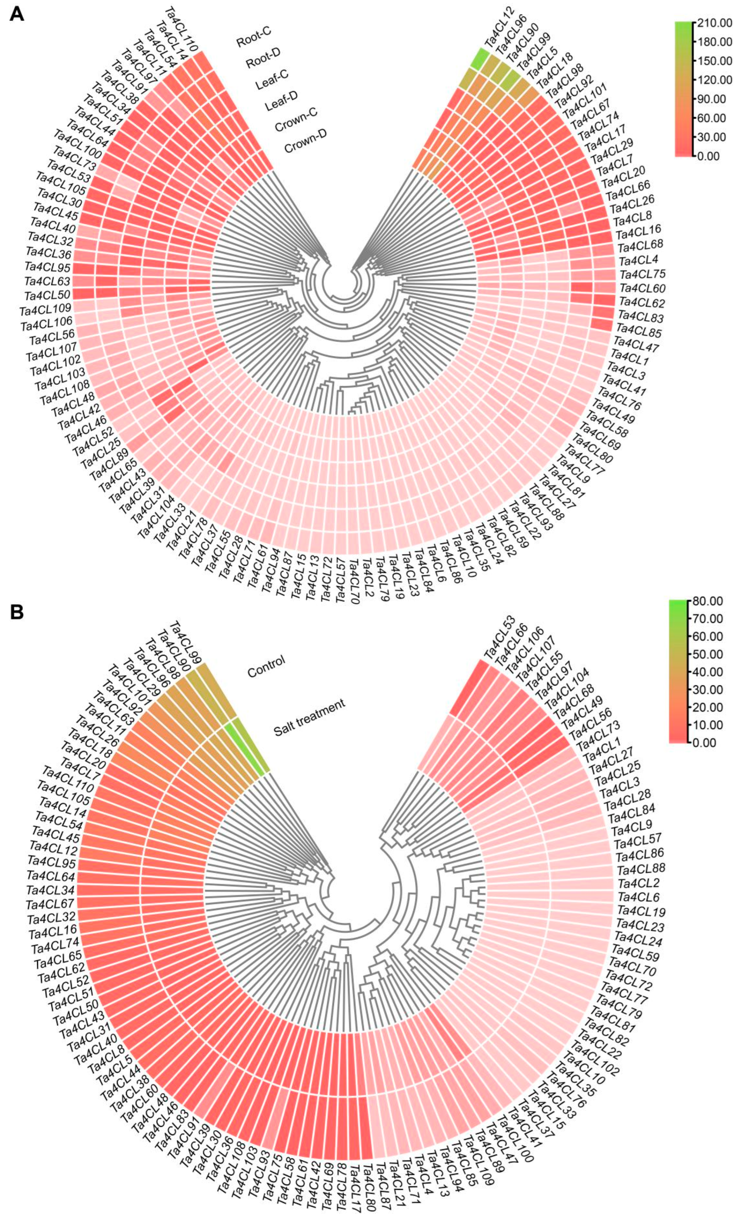 Plants 14 01301 g007
