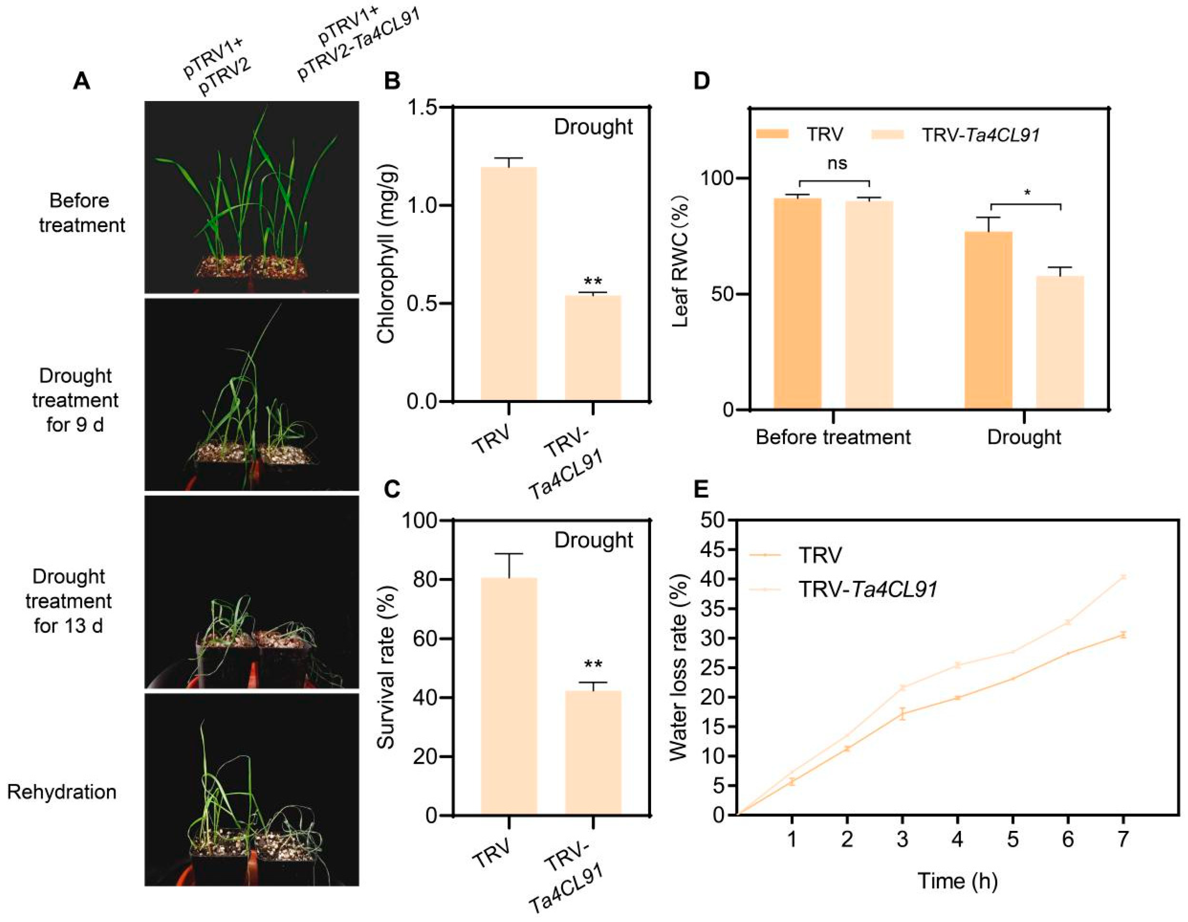 Plants 14 01301 g009