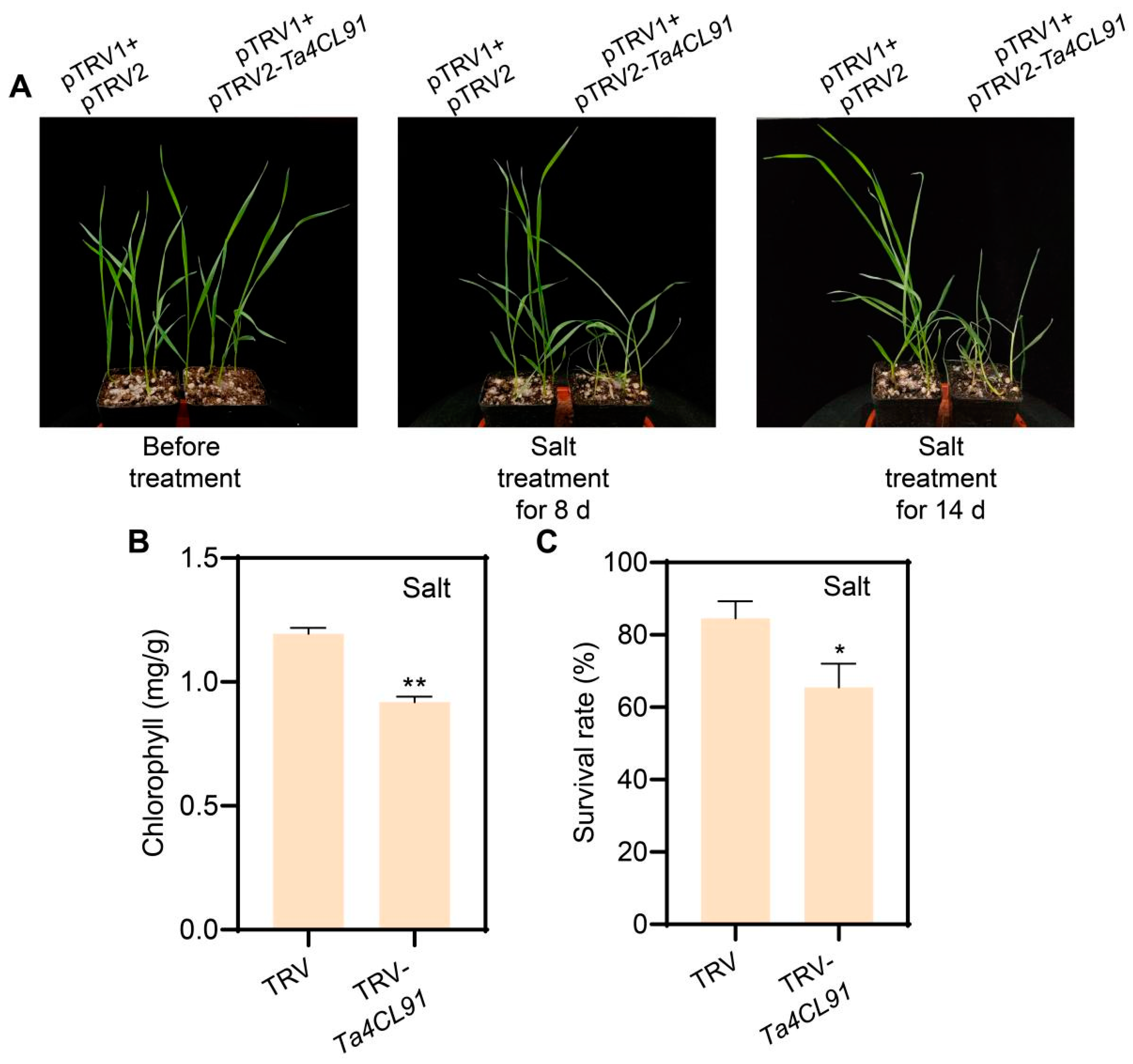 Plants 14 01301 g010