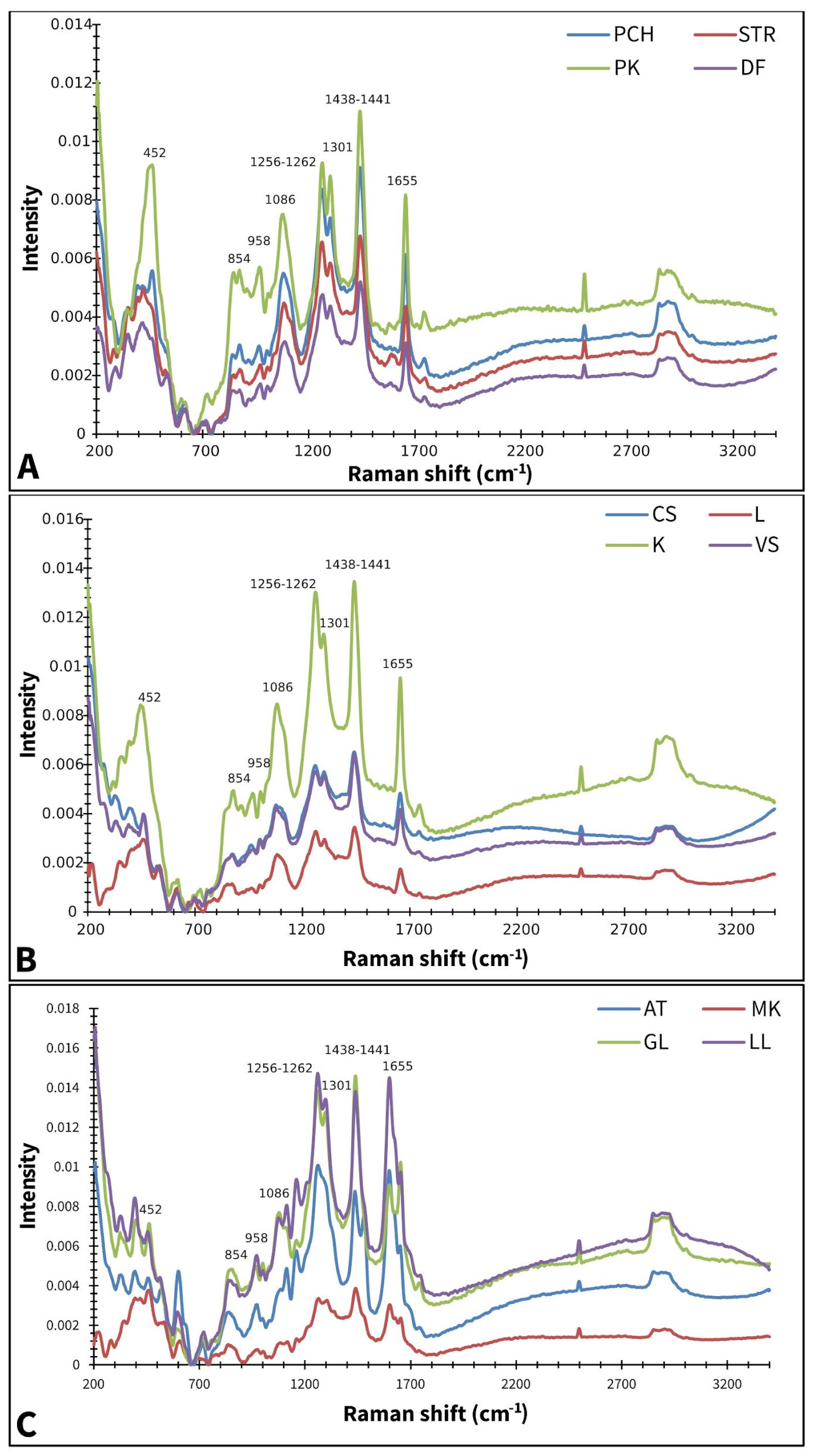 Plants 14 01304 g001