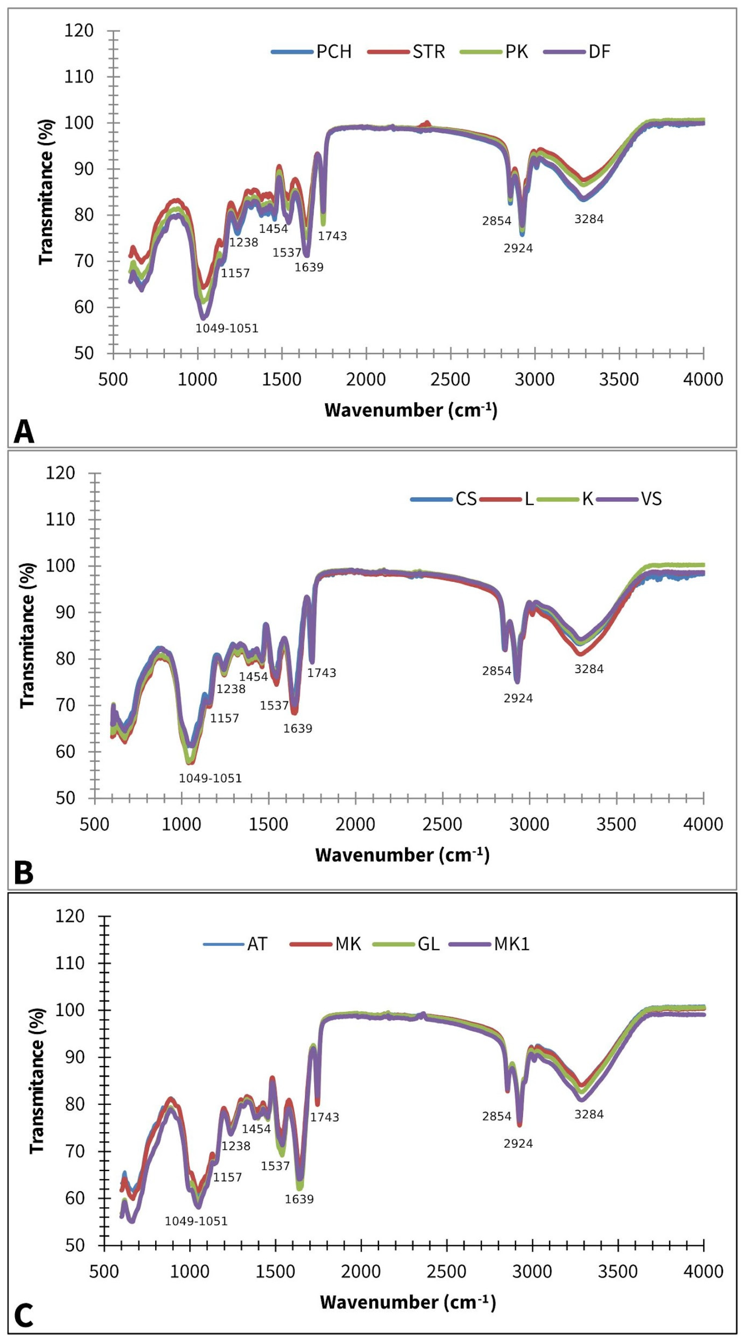 Plants 14 01304 g002
