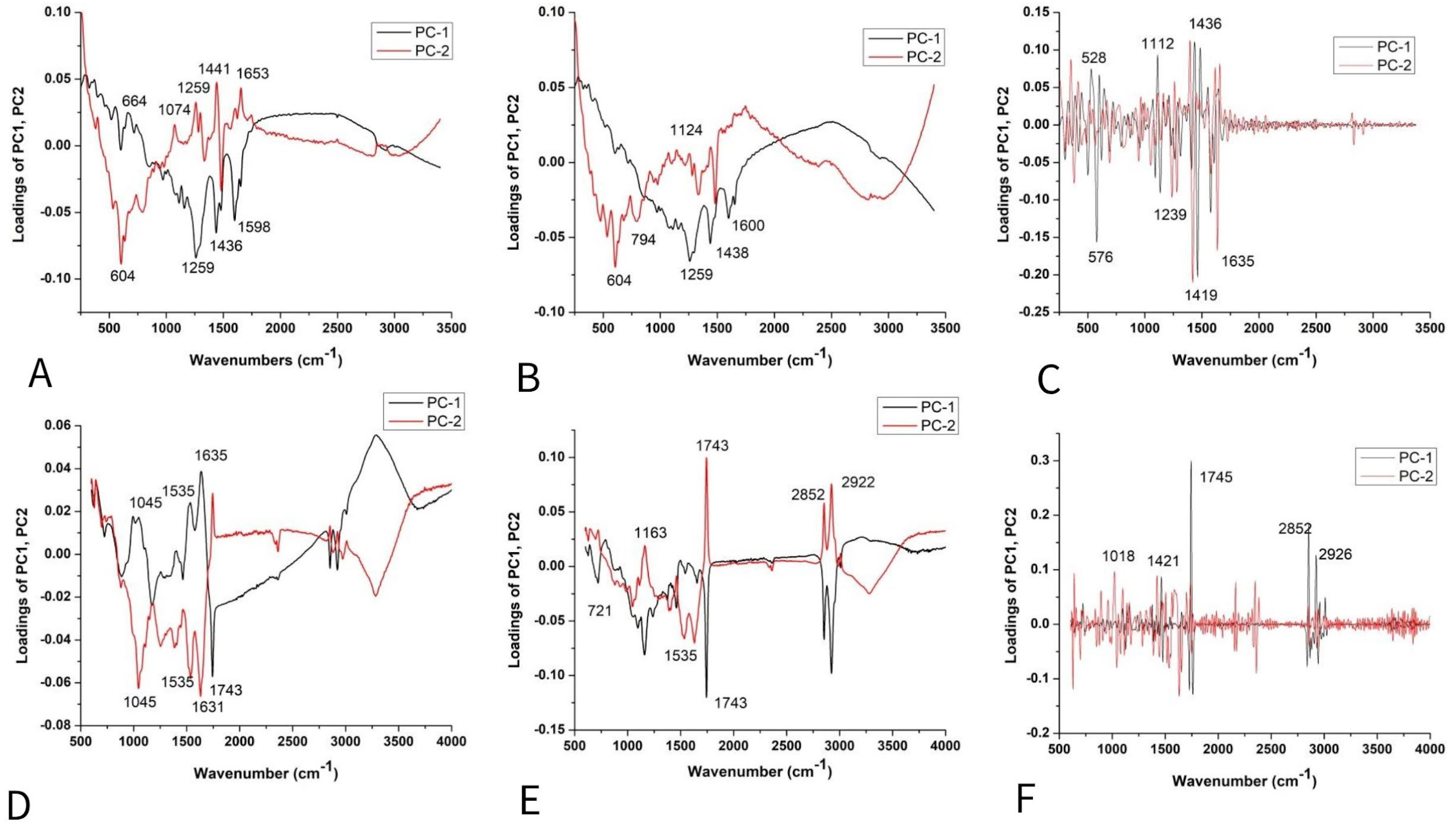 Plants 14 01304 g004