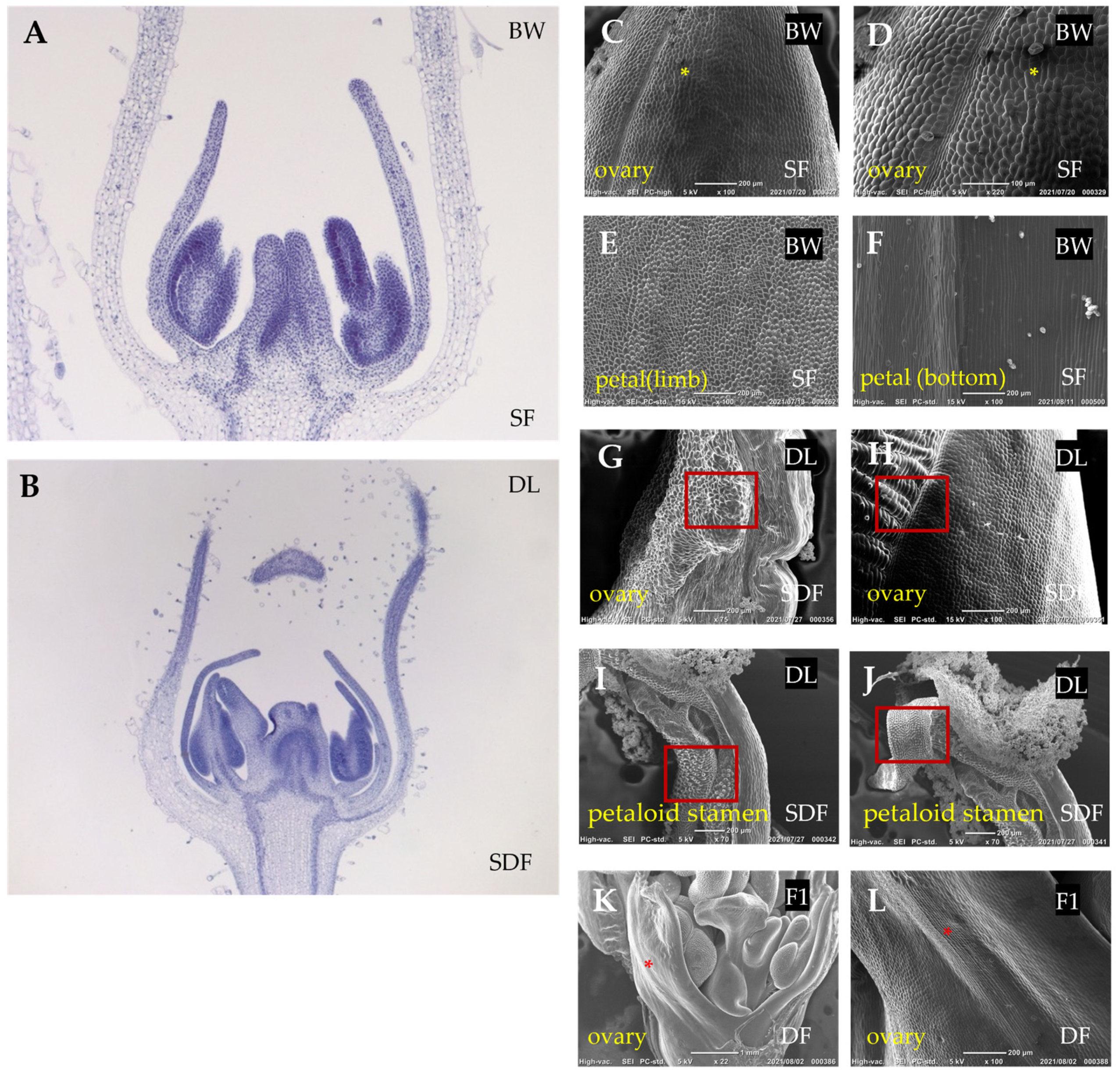 Plants 14 01314 g003