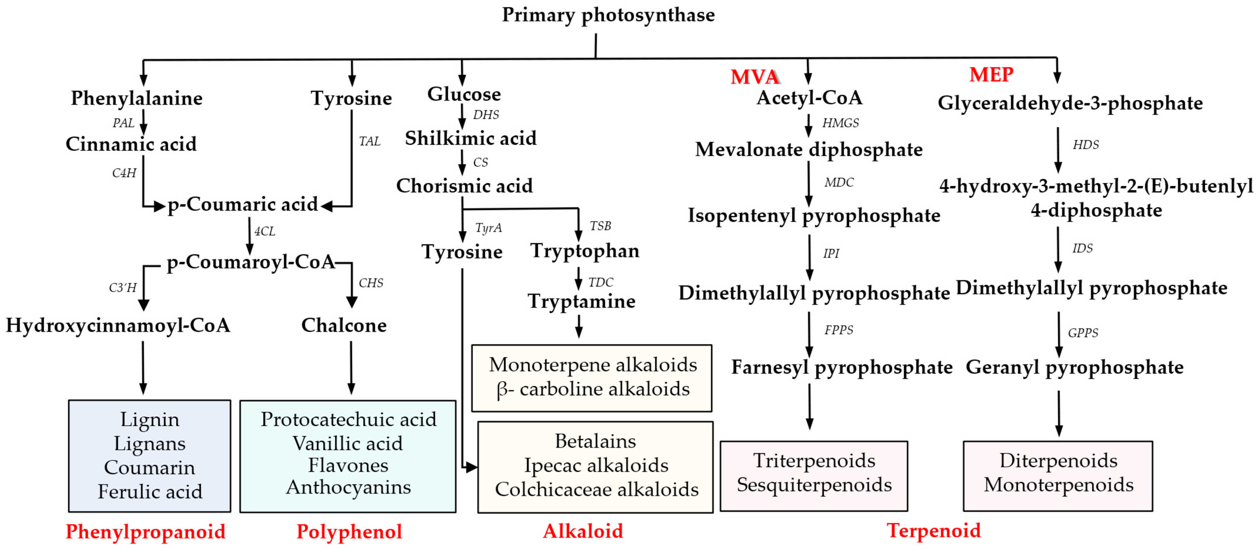 Plants 14 01316 g001
