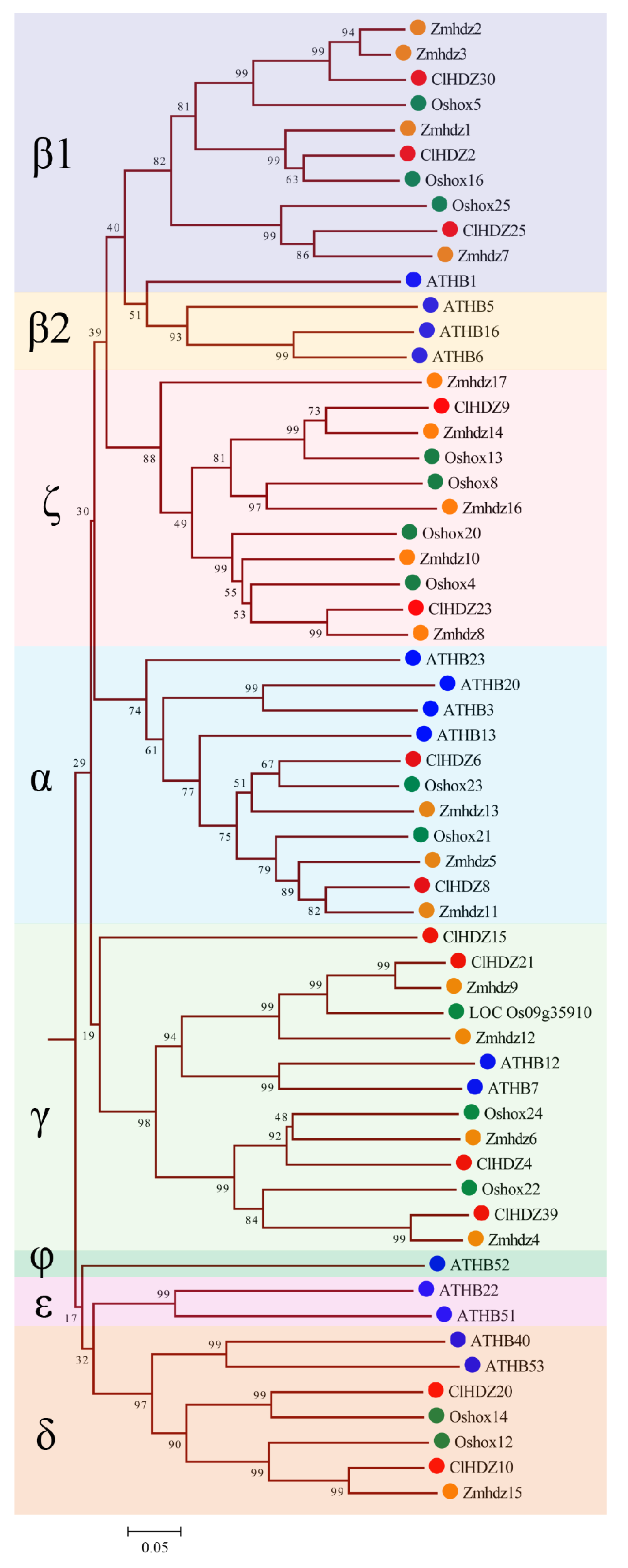 Plants 14 01318 g002