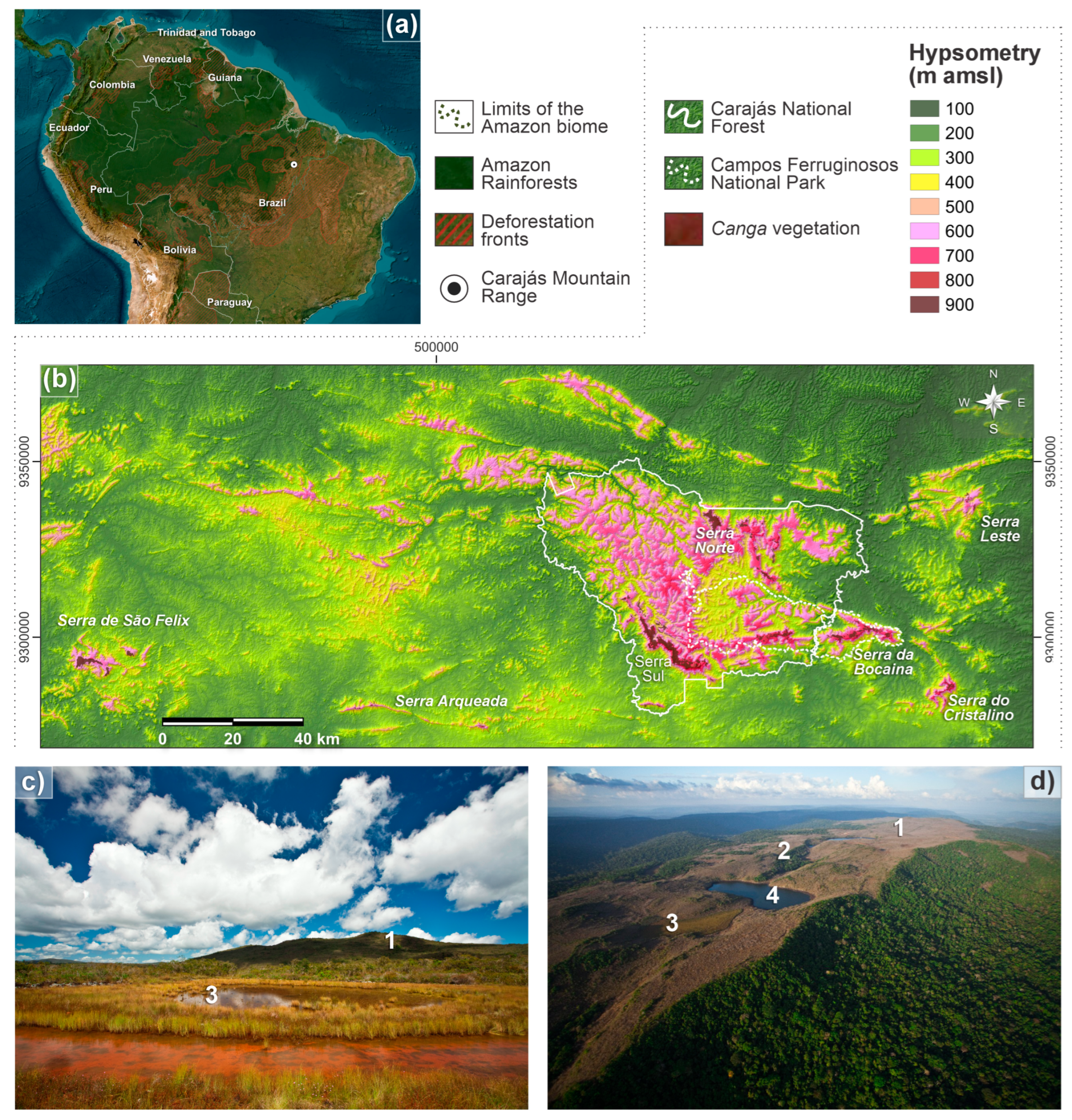 Plants 14 01319 g001