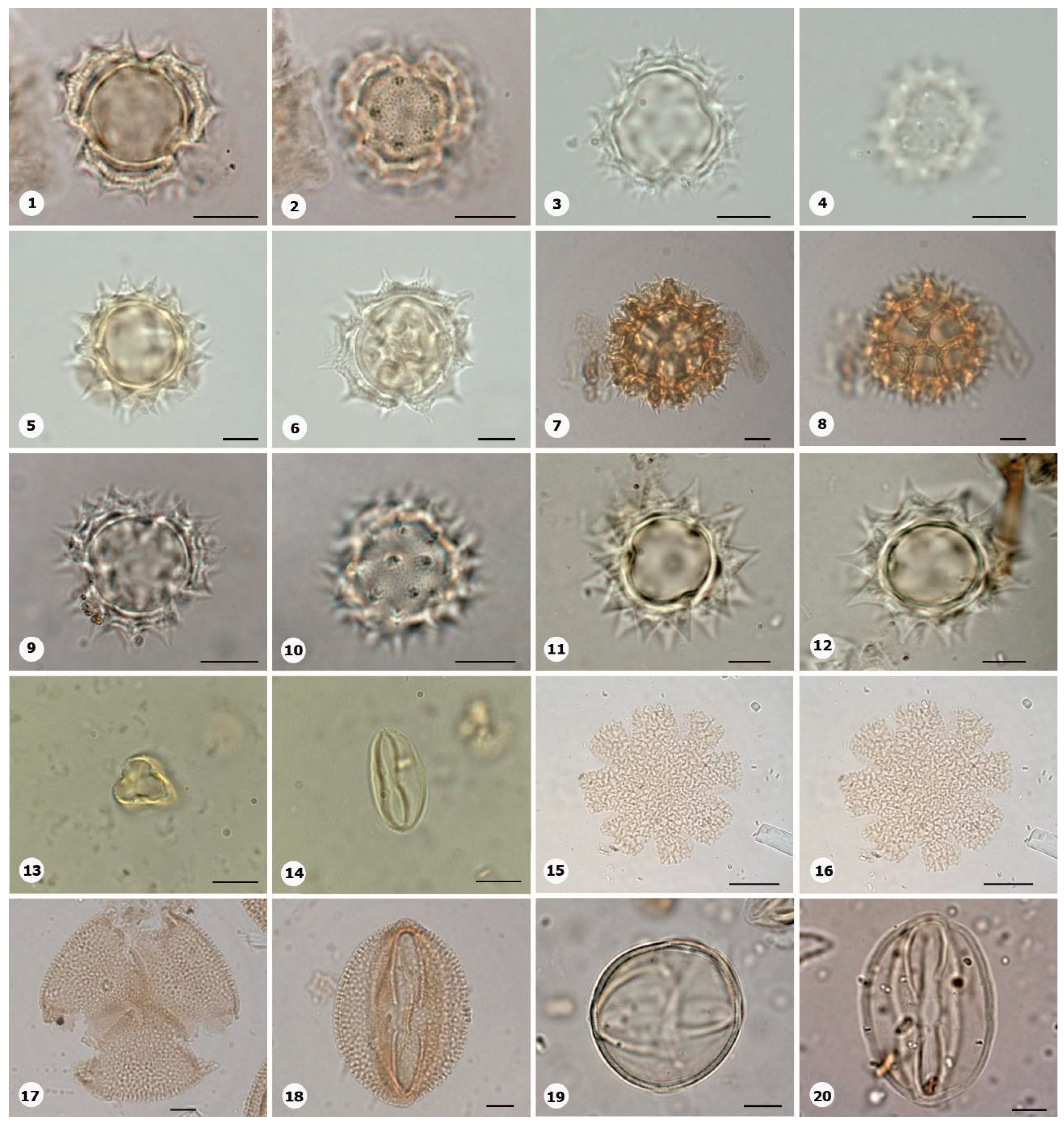 Plants 14 01319 g010