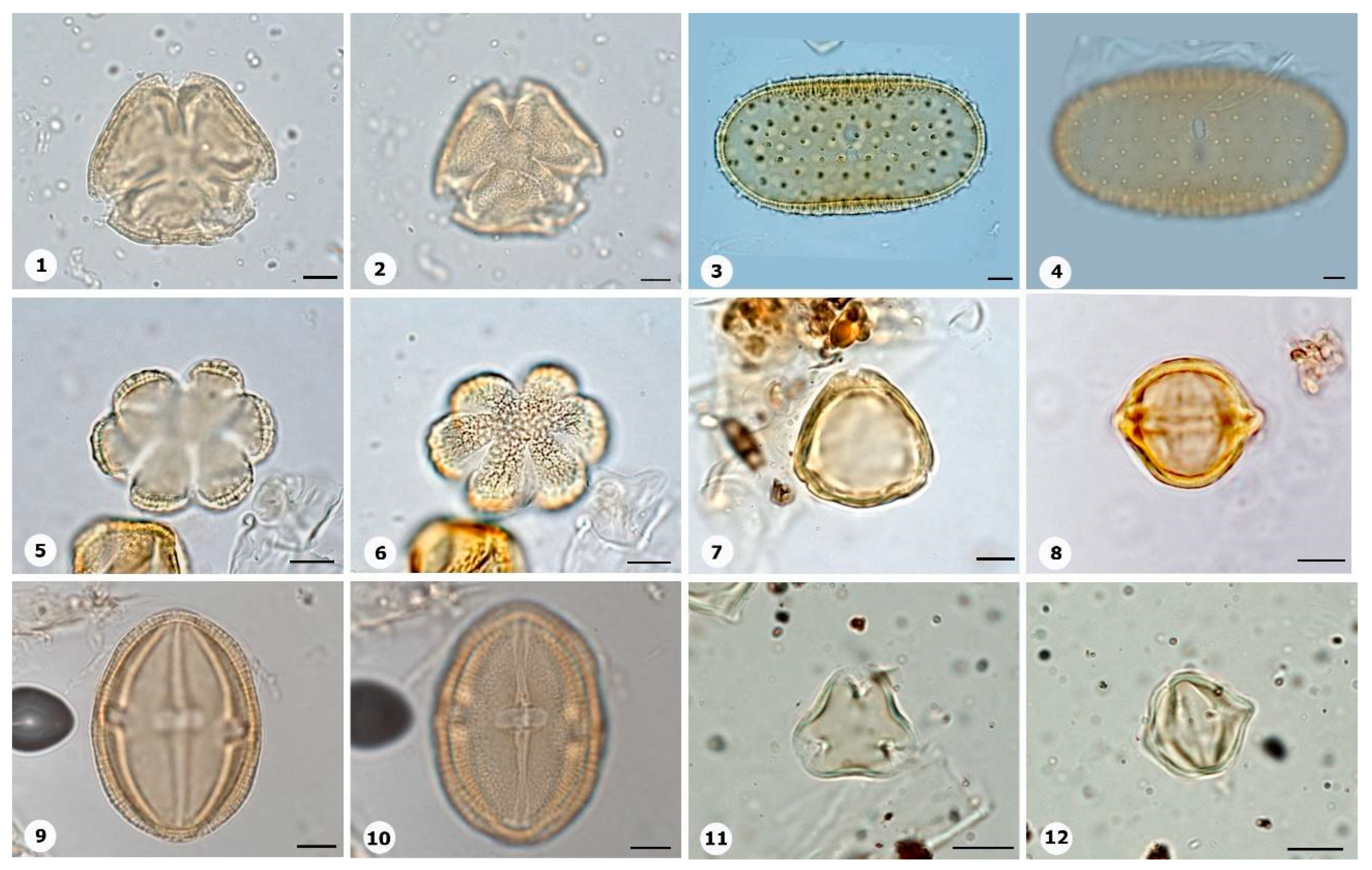 Plants 14 01319 g022