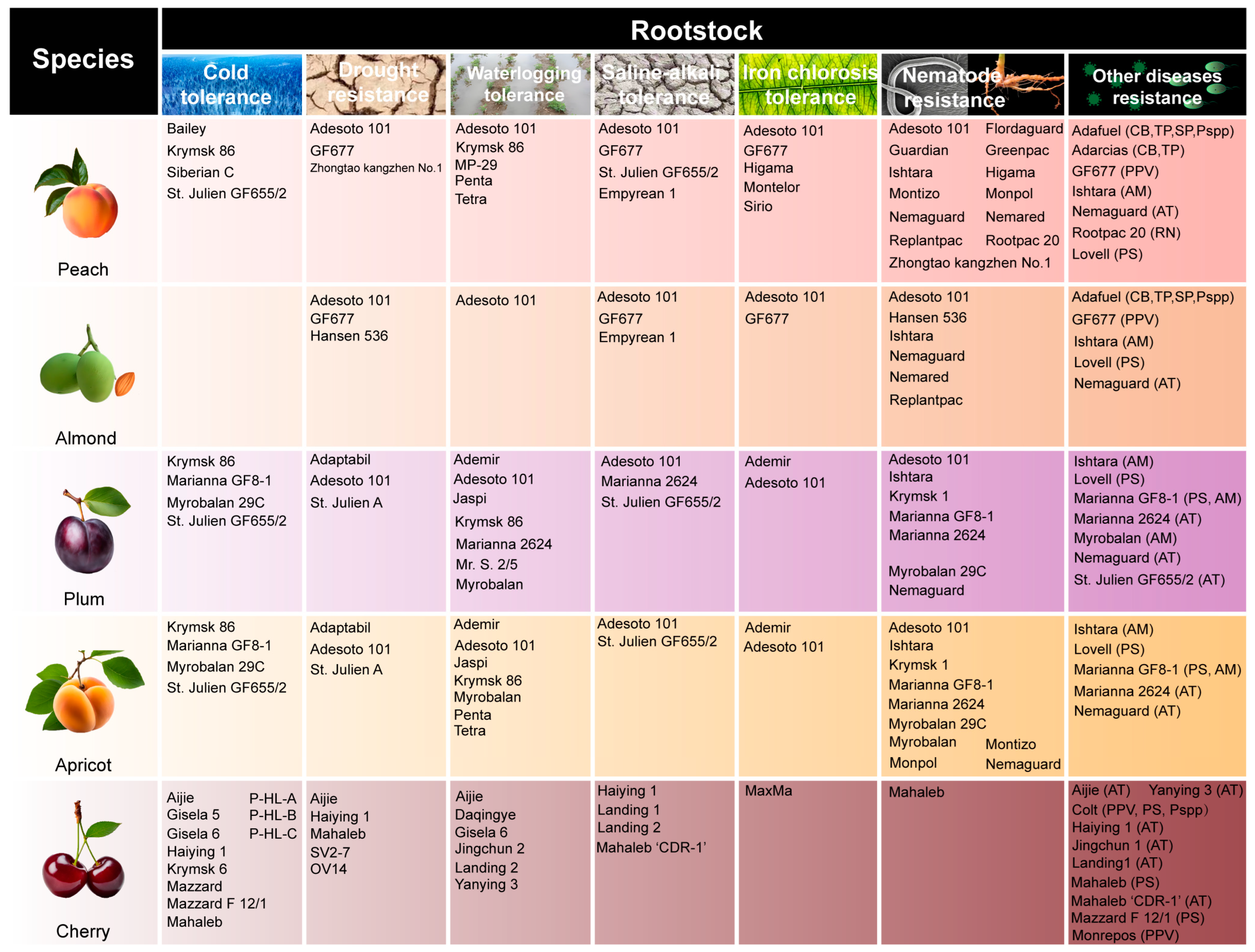 Plants 14 01320 g002