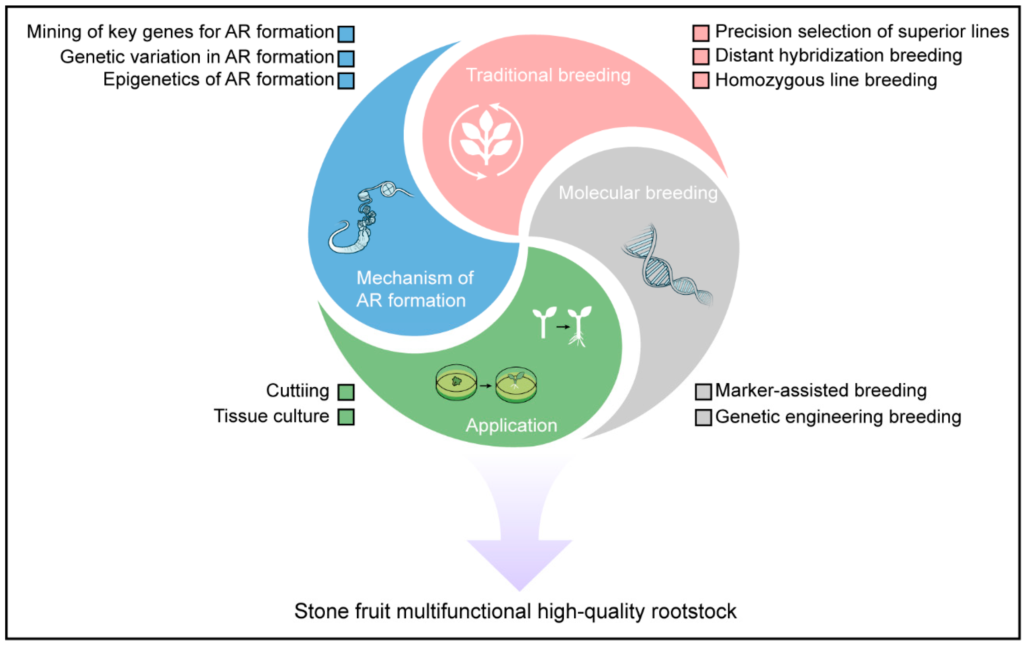 Plants 14 01320 g003