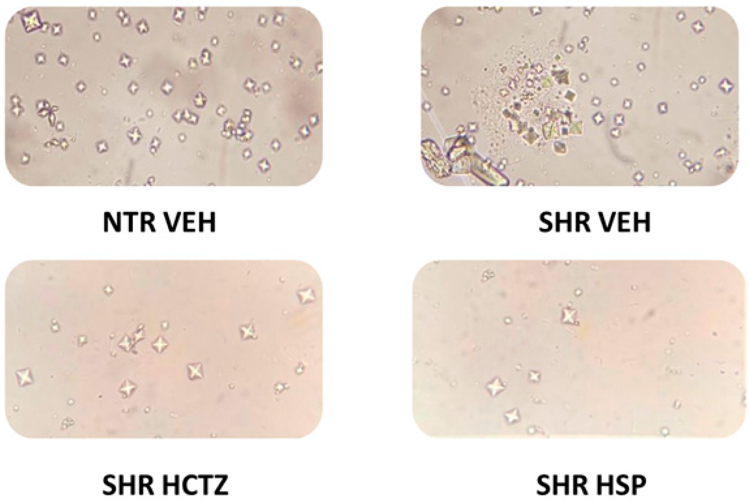 Plants 14 01324 g005