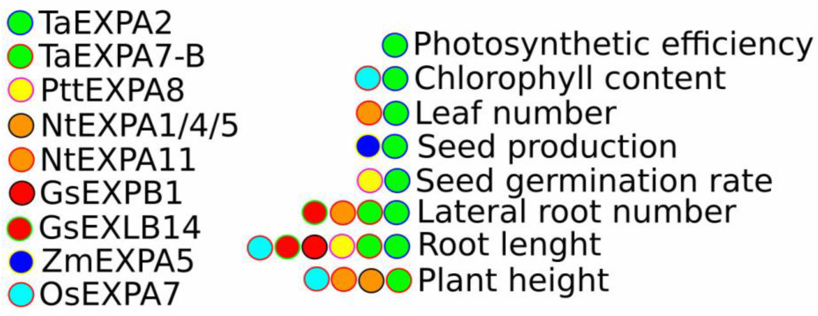 Plants 14 01327 g002