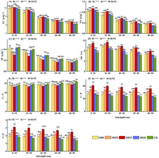 Morphological Traits and Water–Nutrient Utilization Efficiency of