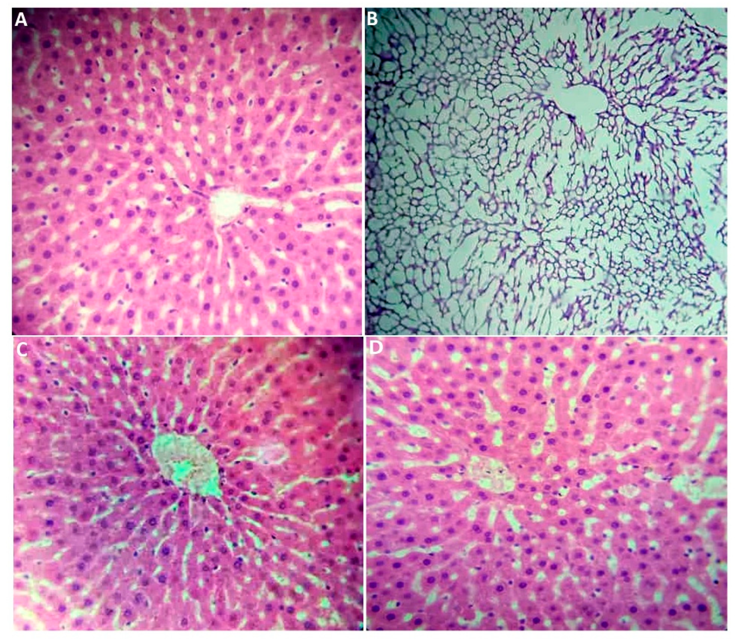 Plants 14 01332 g002