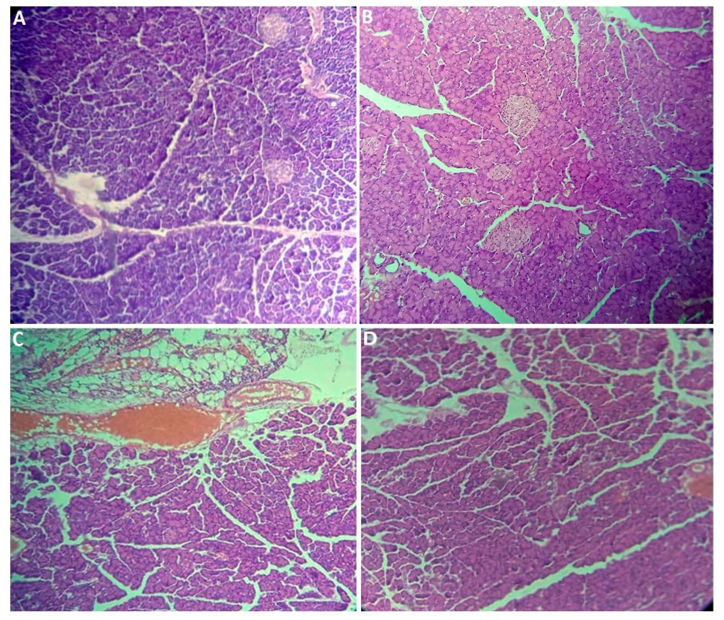 Plants 14 01332 g004