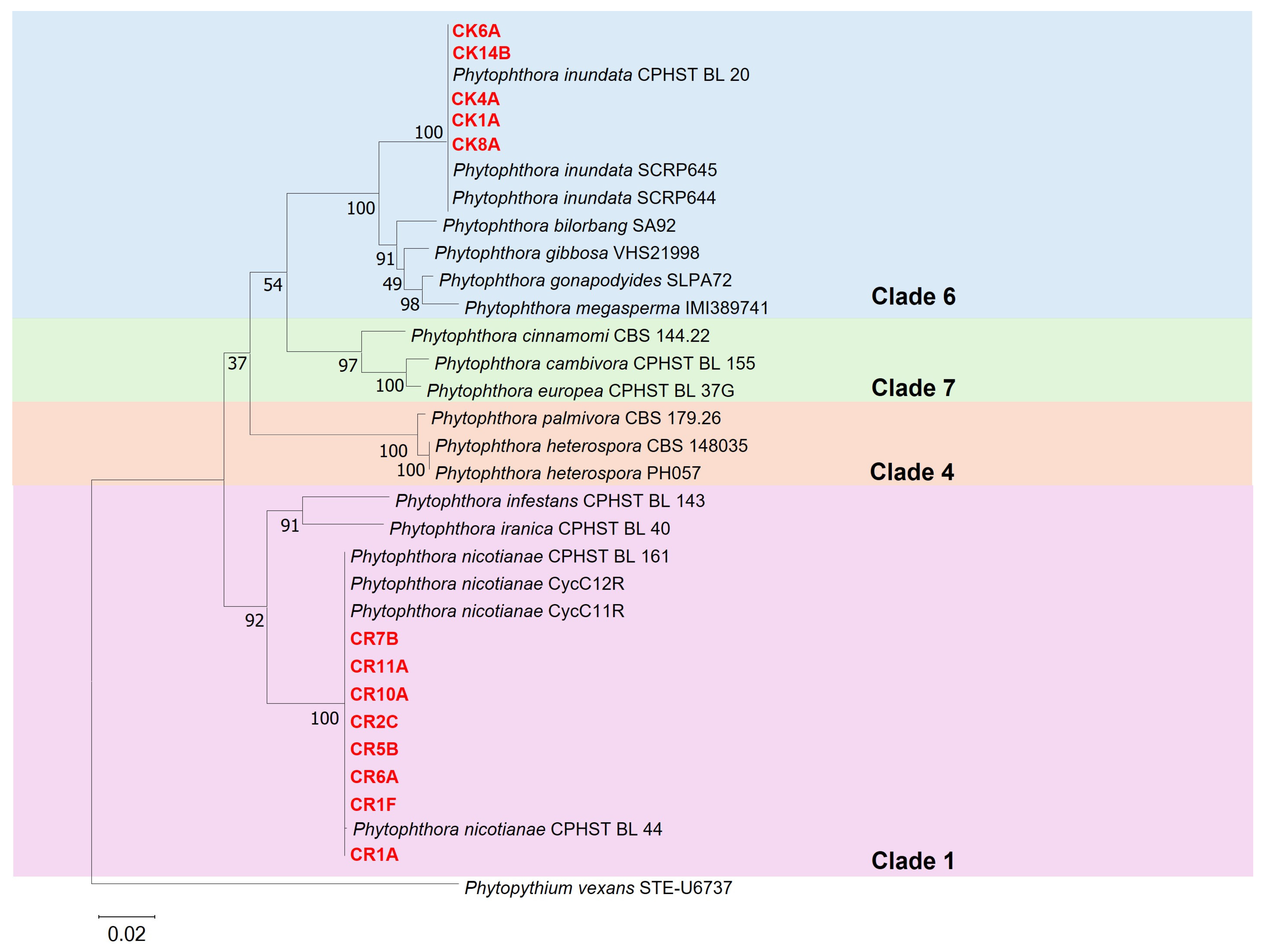 Plants 14 01333 g001