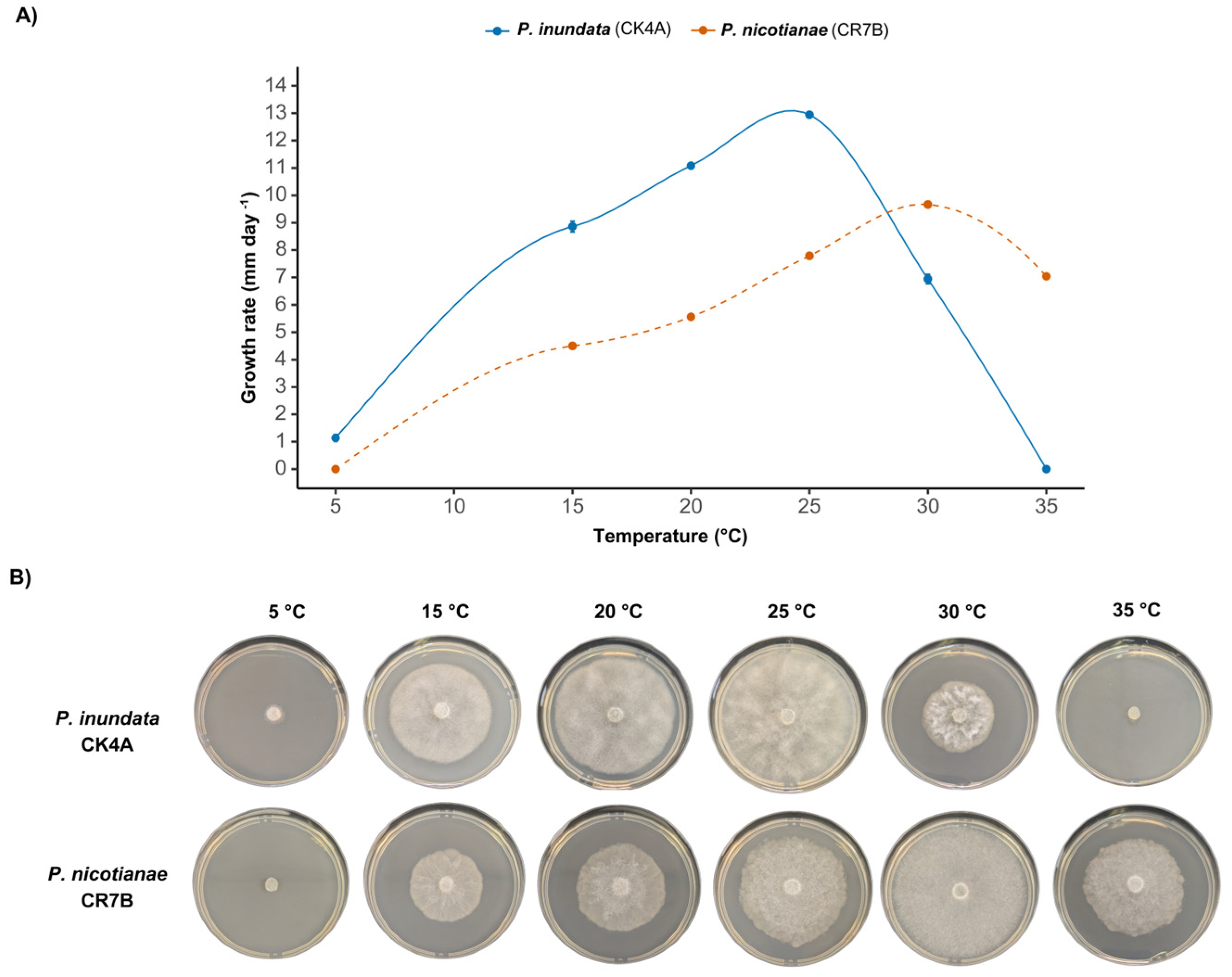 Plants 14 01333 g002