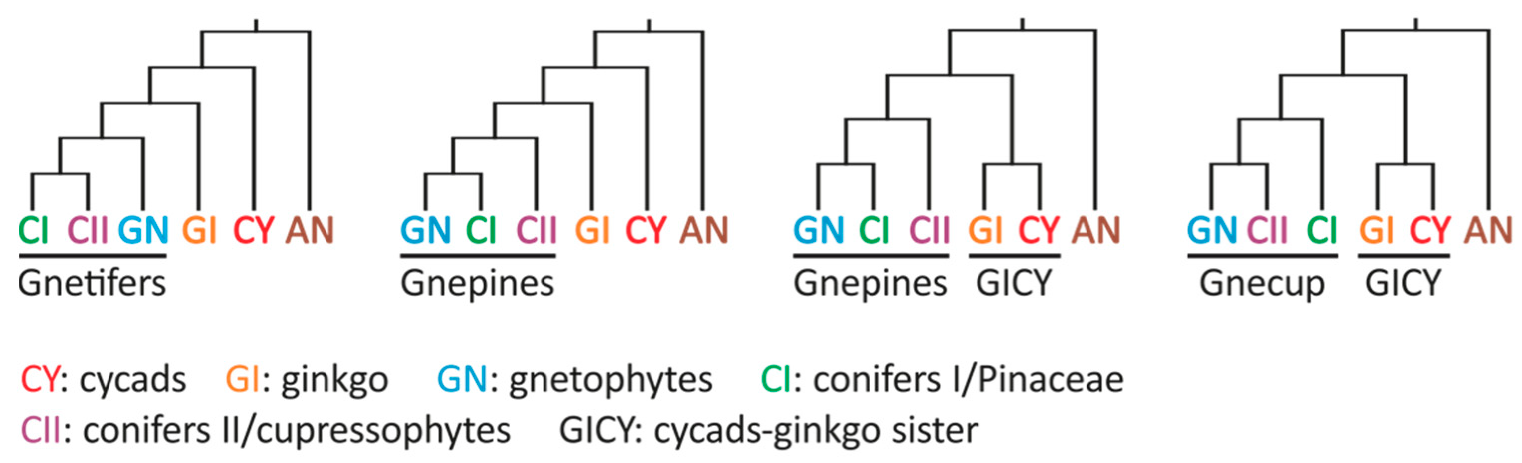 Plants 14 01335 g001 Plants 14 01335 g001