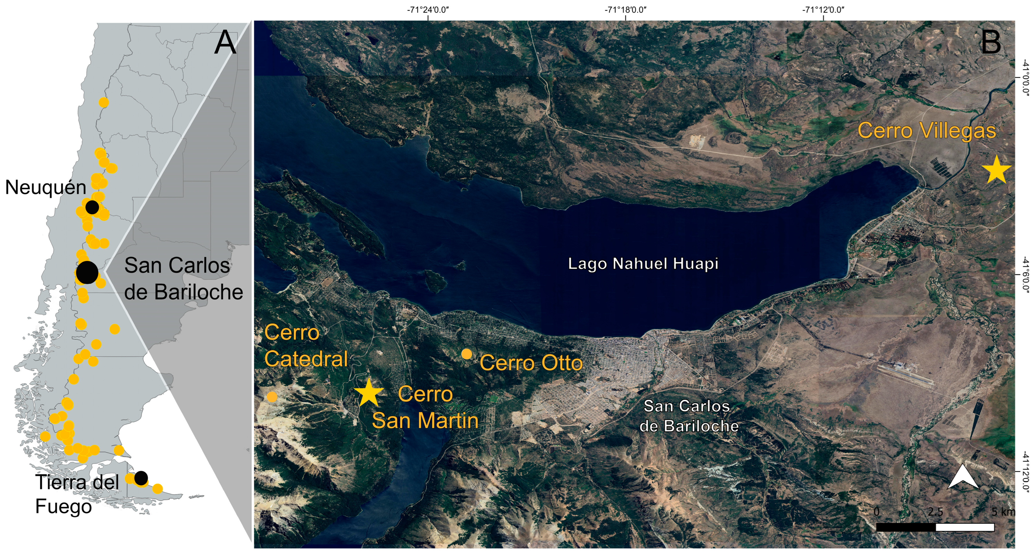 Plants 14 01337 g004