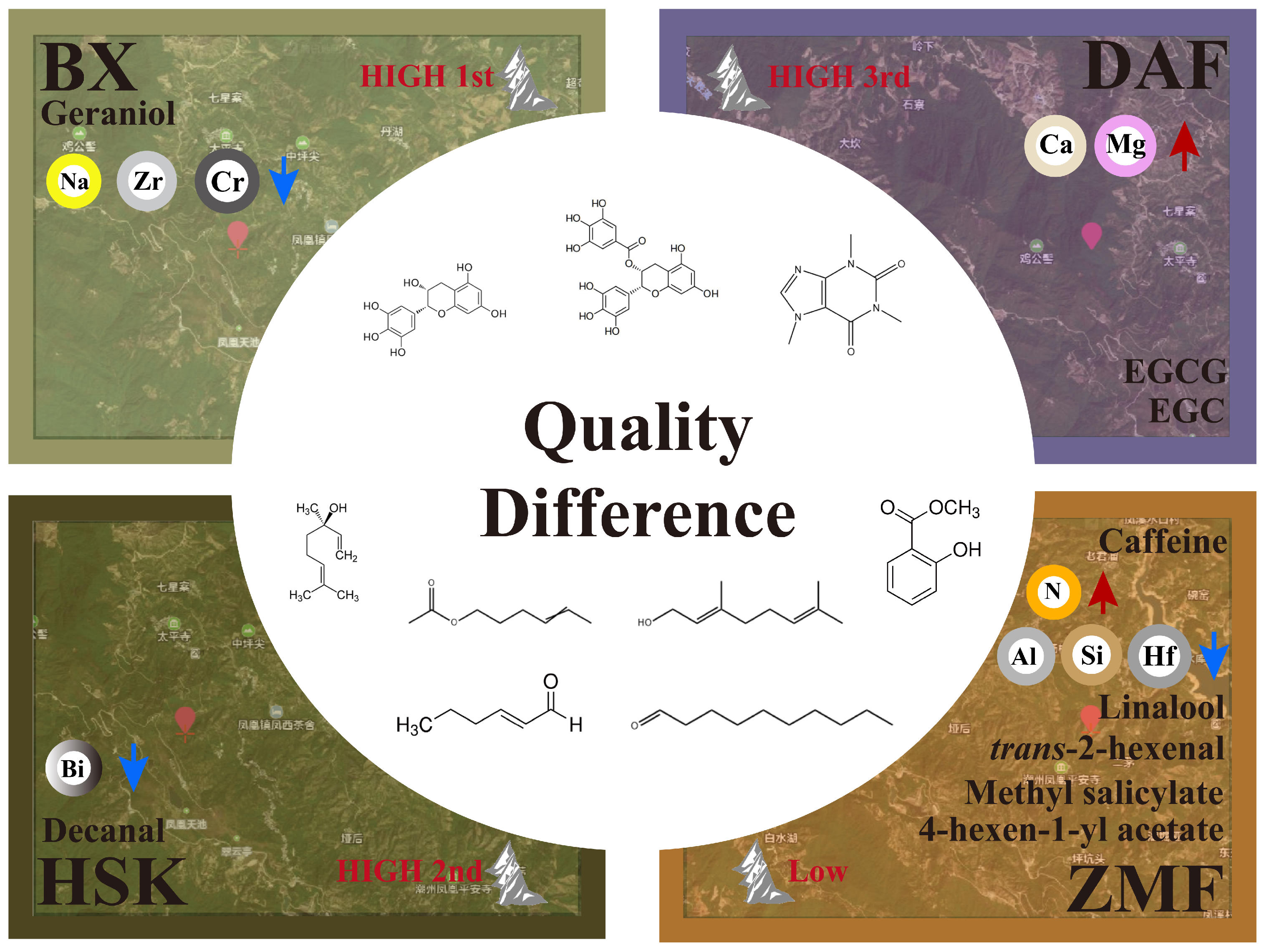 Plants 14 01339 g007