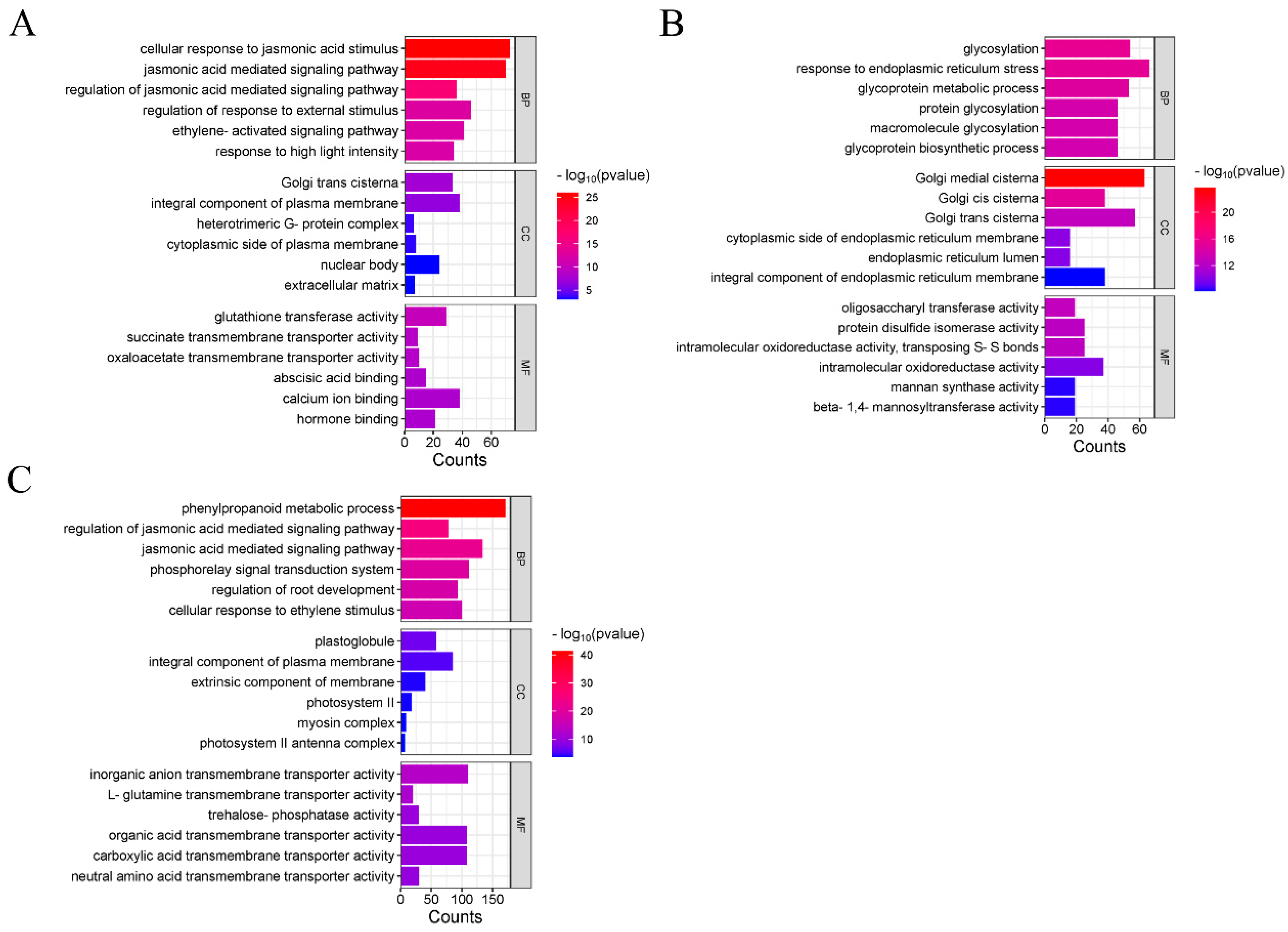 Plants 14 01340 g002