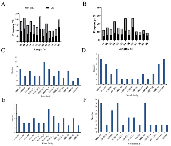 Transcriptome and Small-RNA Sequencing Reveals the Response