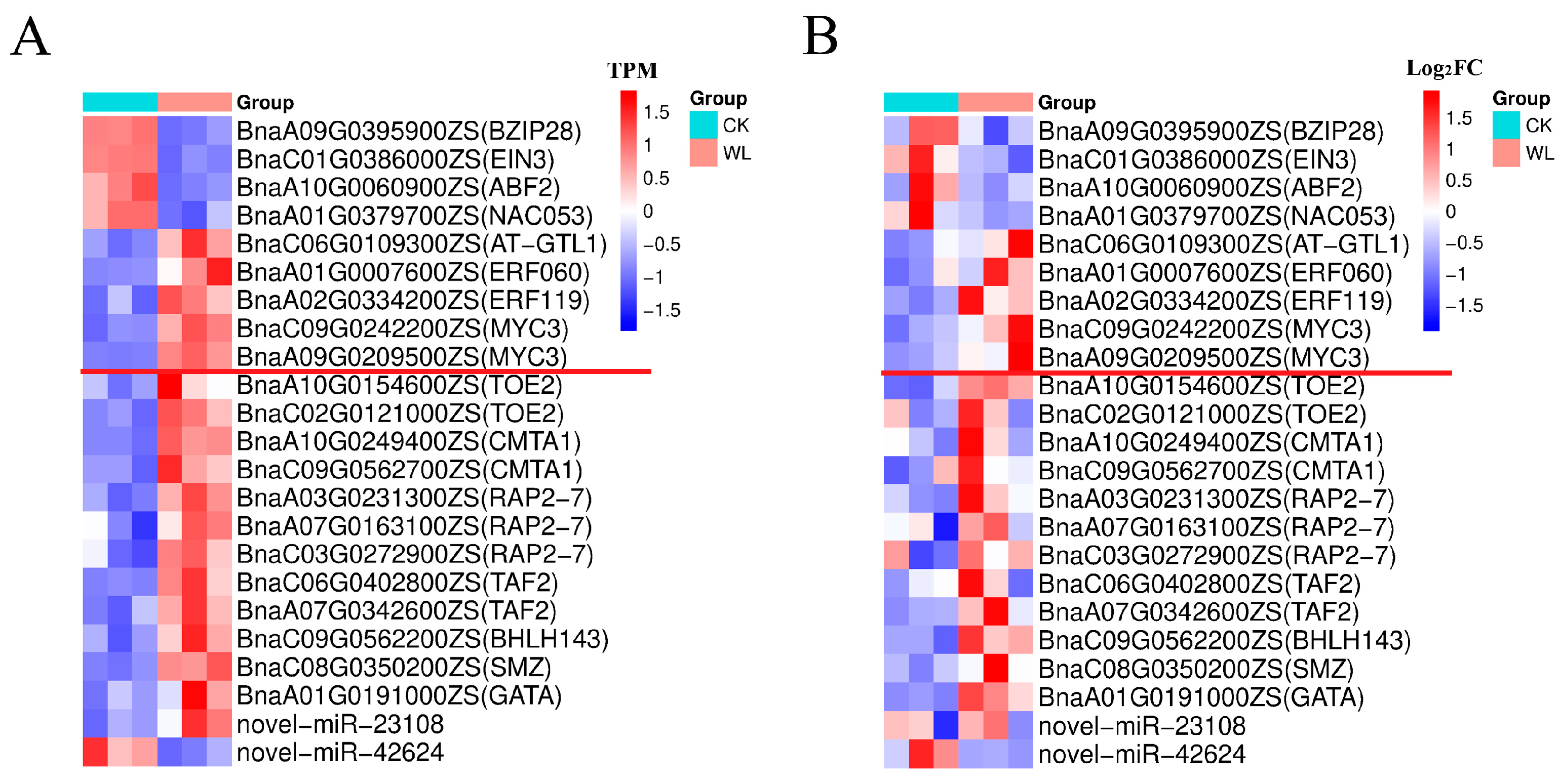 Plants 14 01340 g006