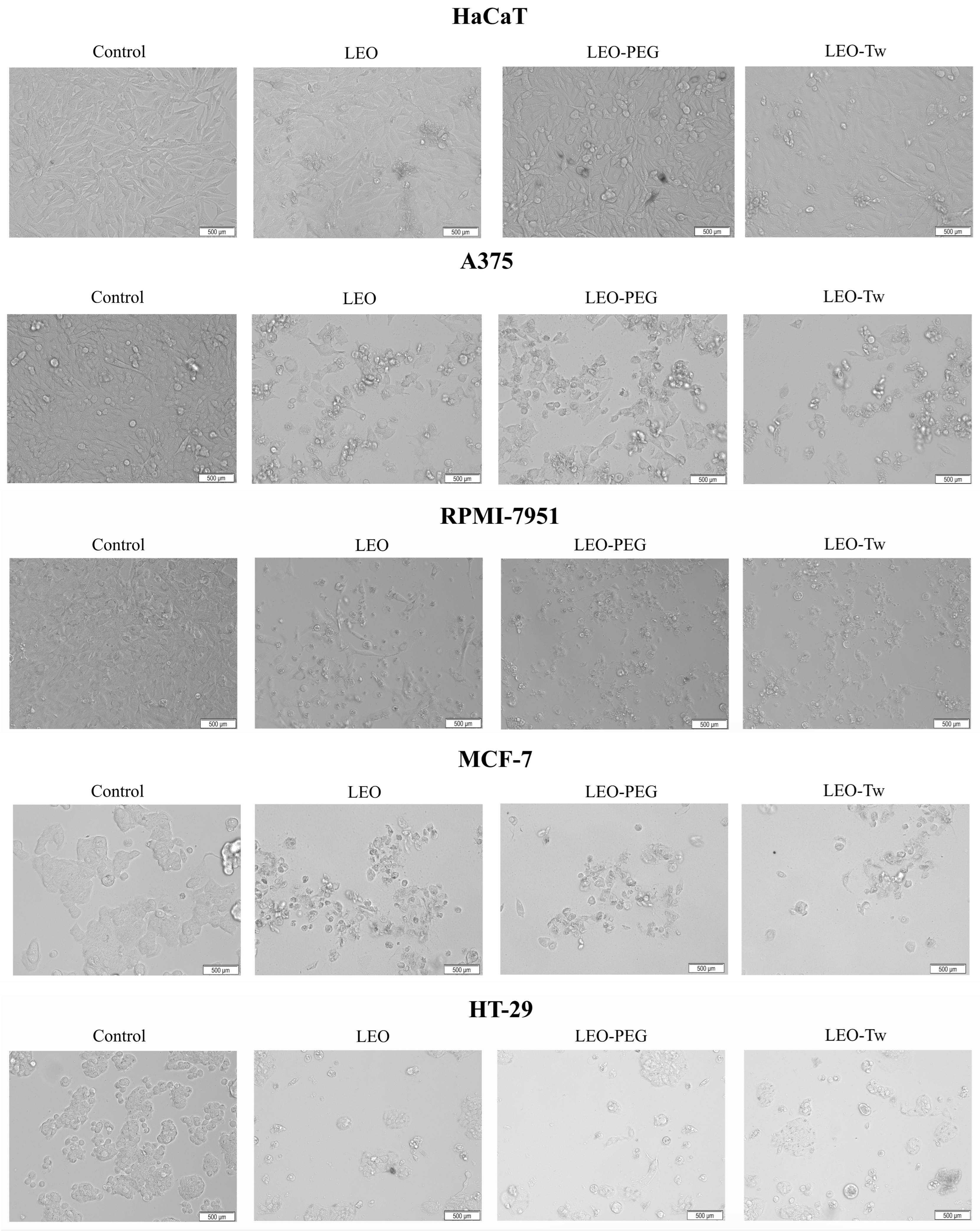 Plants 14 01341 g002